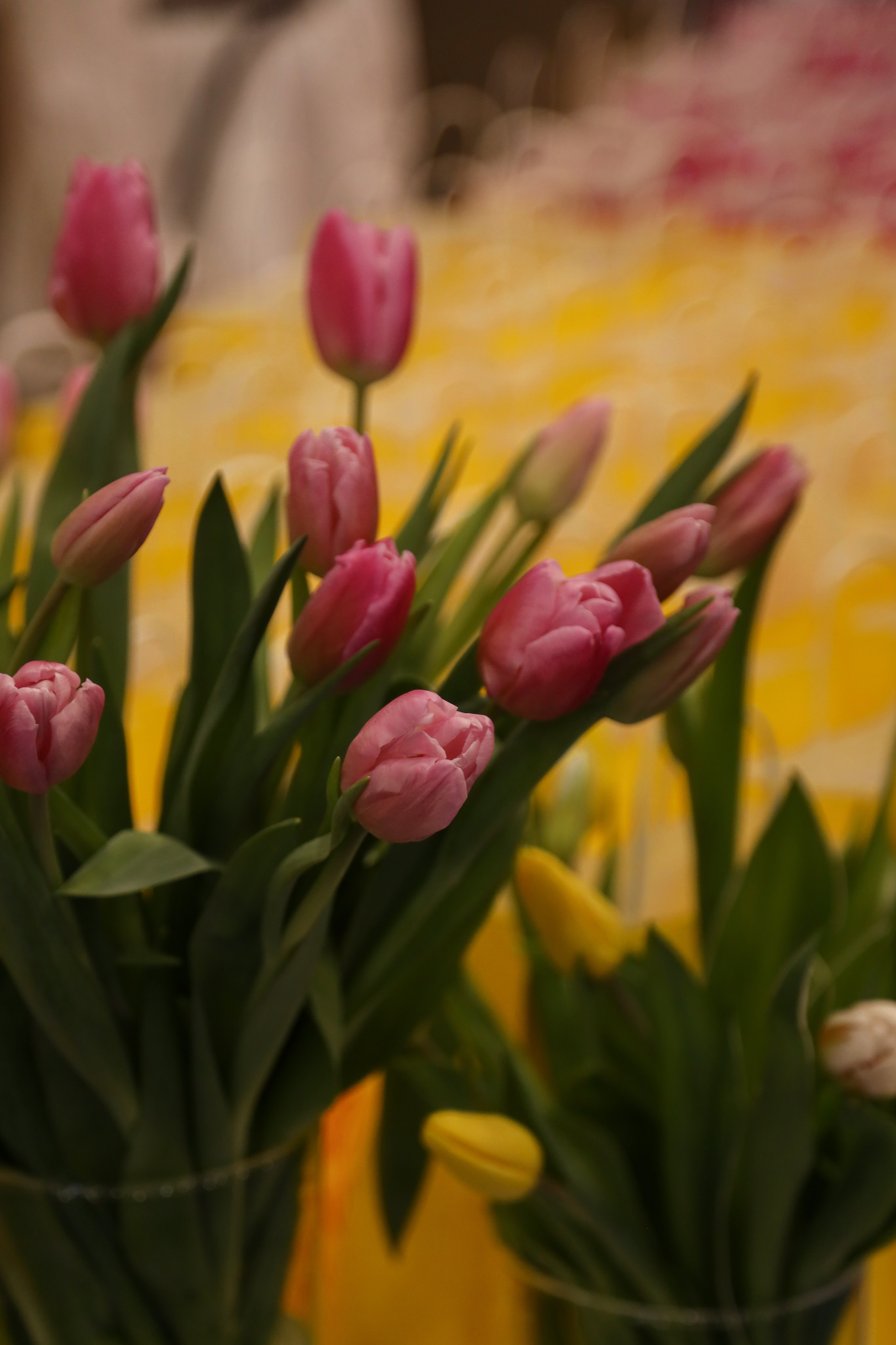 NSP Большая конференция. Фотограф Антон Чупринин