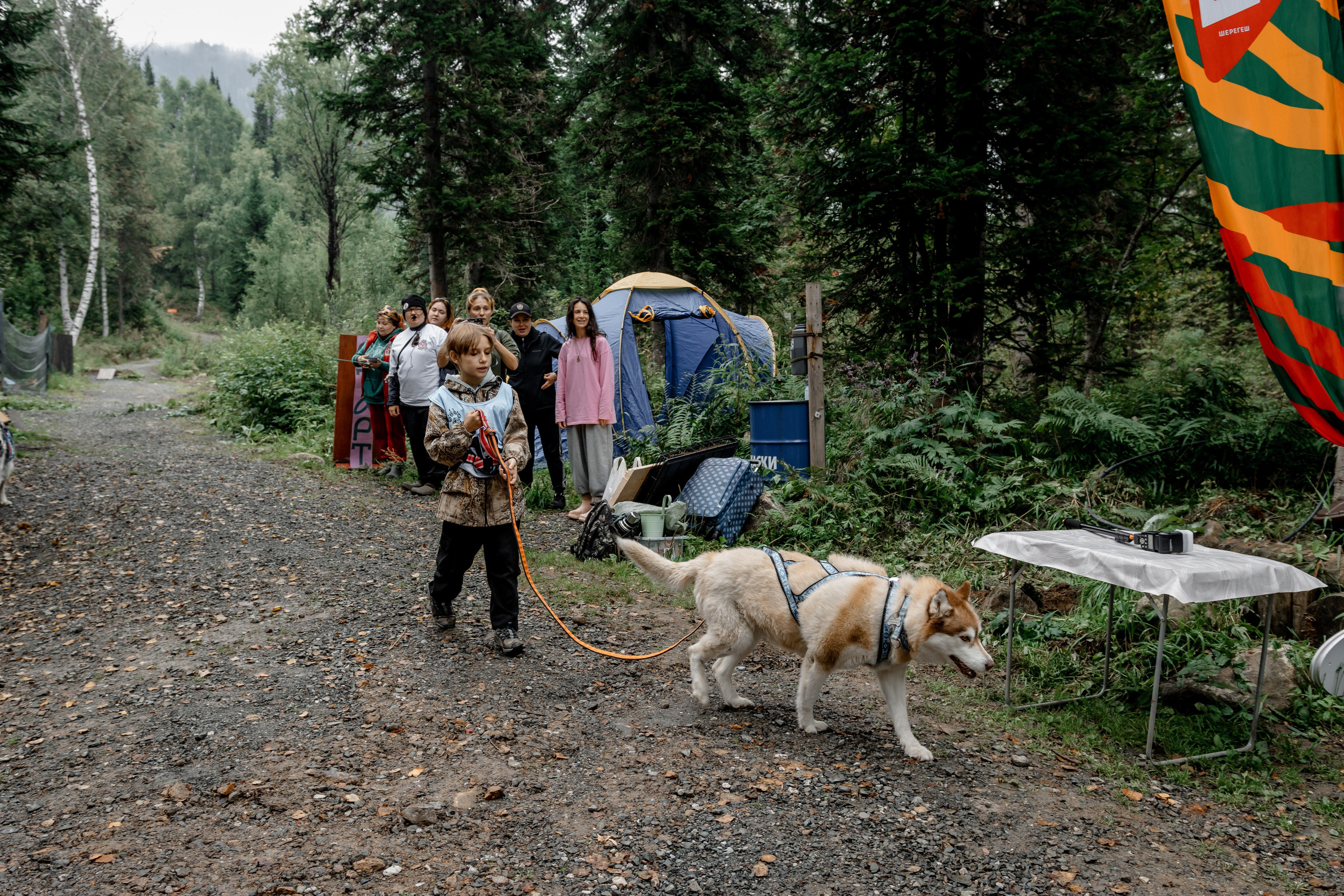 Дог-треккинг