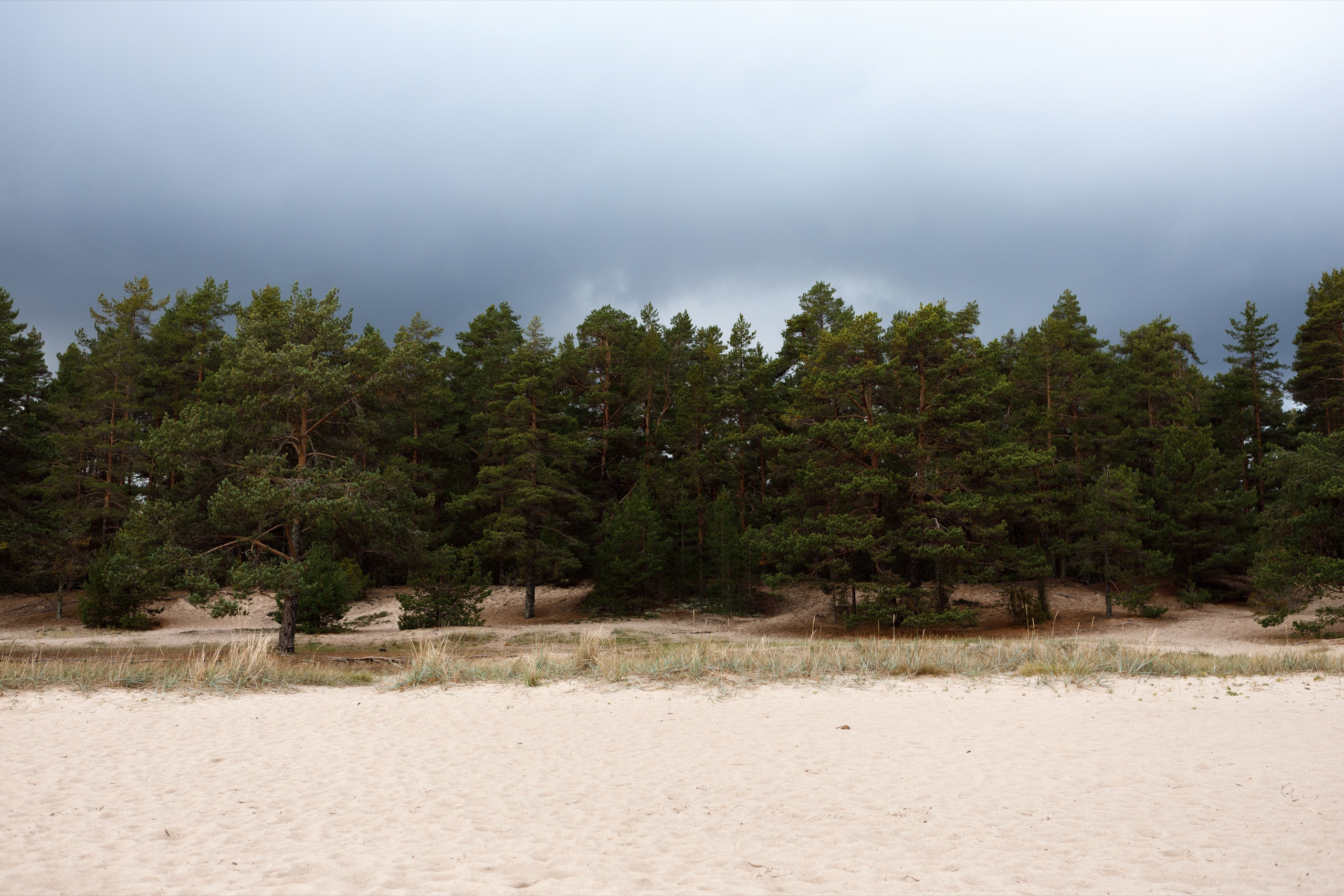 Photos for the Ladoga Skerries National Park. Commercial photographer | Anton Ermakov