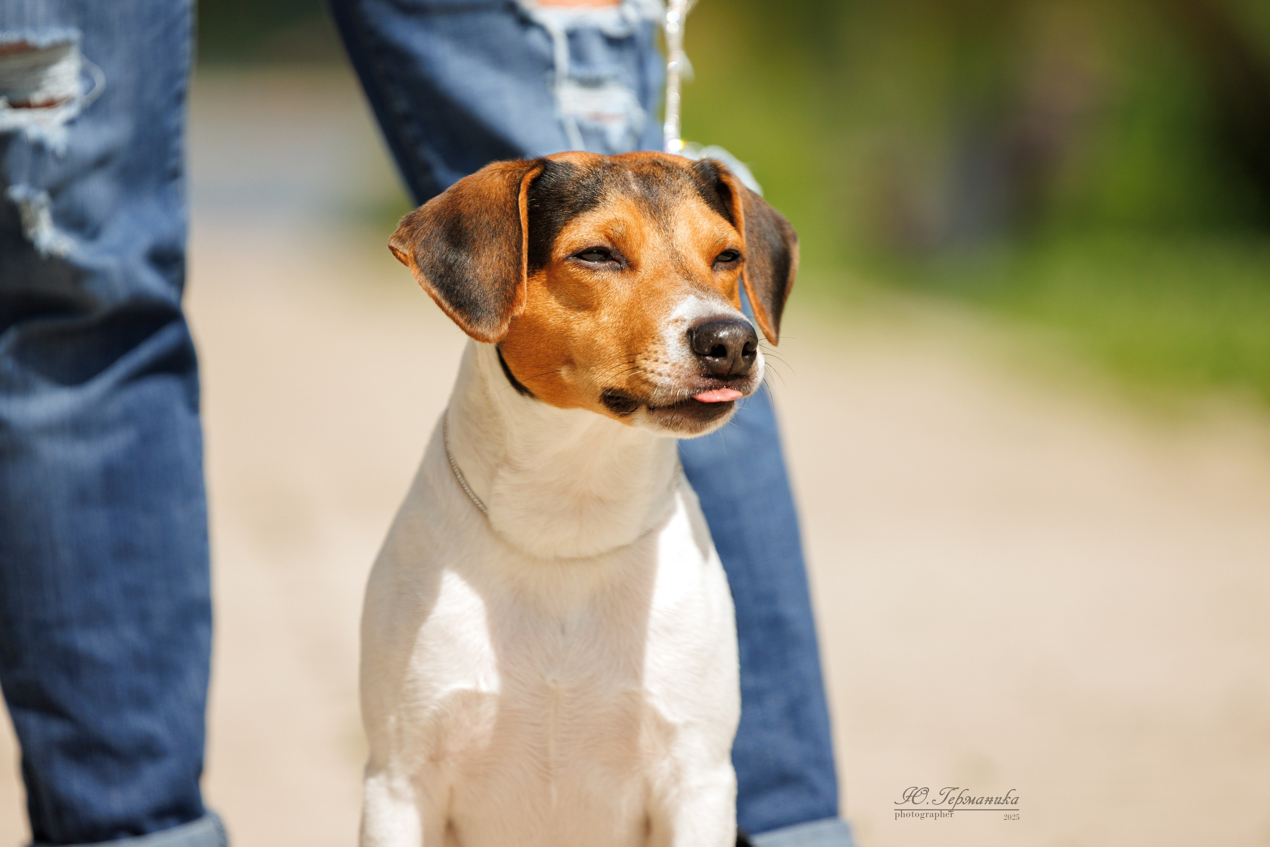 Фотосет Бригада УХ)). Фотограф-анималист Юлия Германика