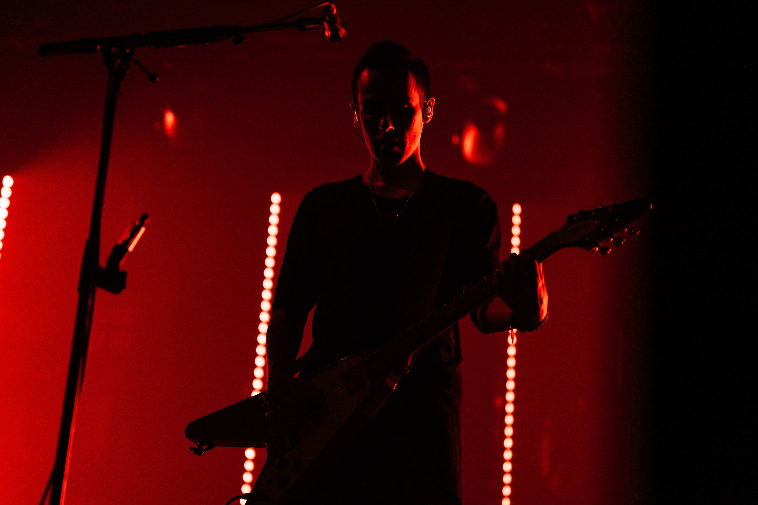 Звери. _Carpe diem_