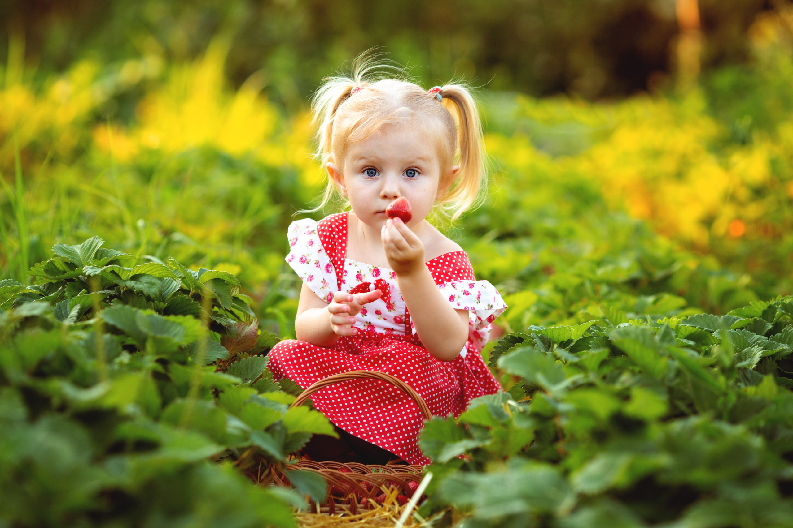 Викуля. Фотограф Антонина Свешникова. ВЫПУСКНЫЕ ФОТОКНИГИ для детских садов и школ. Москва, Владимир