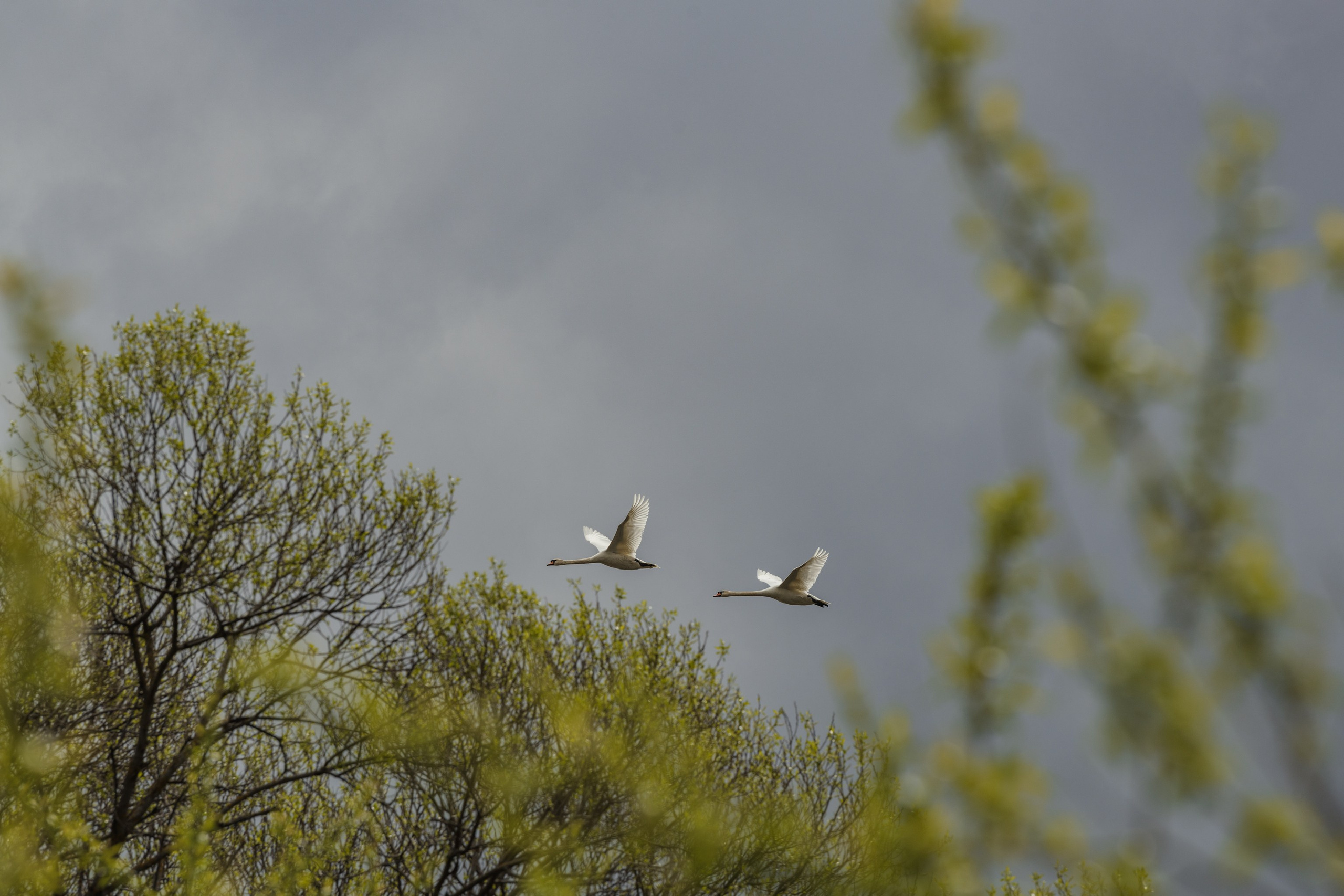 Водный поход 1-й кс по реке Случь. Репортажный фотограф Владимир Беляй