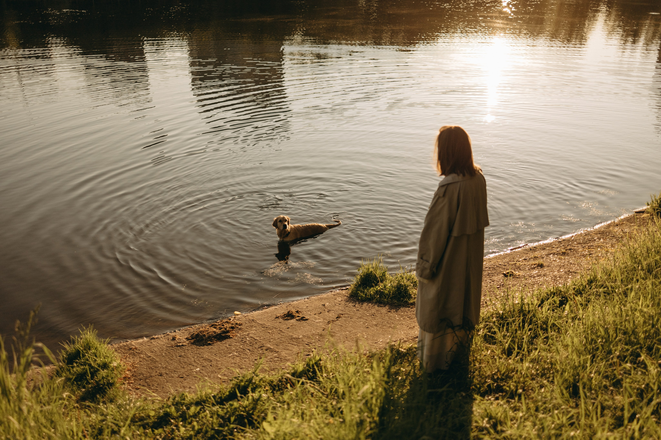 Пенни и ребята. Фотограф — Анималист | Санкт-Петербург