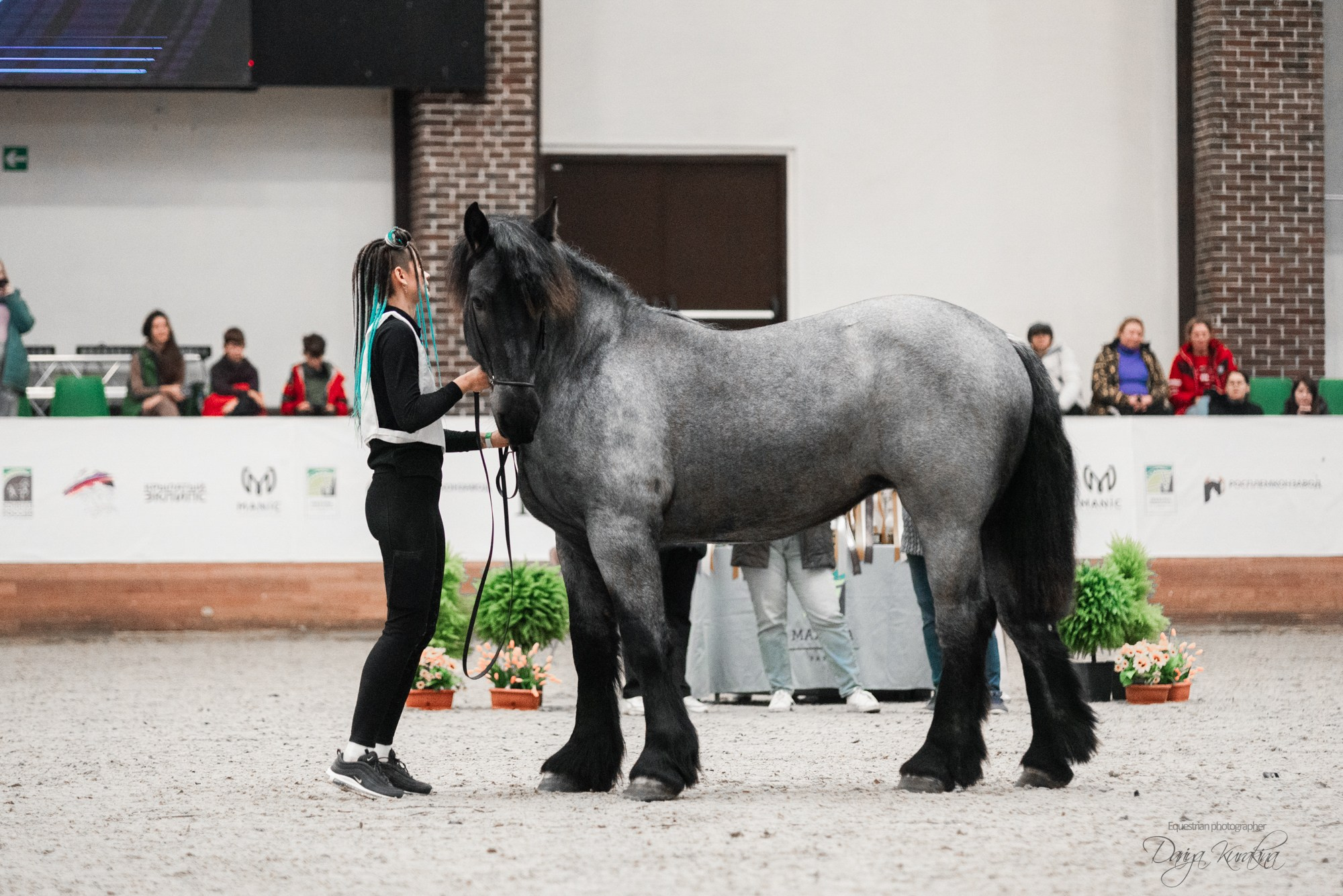 8-я международная выставка Конная Россия. Конный фотограф Куракина Дарья • Фотосессии с лошадьми