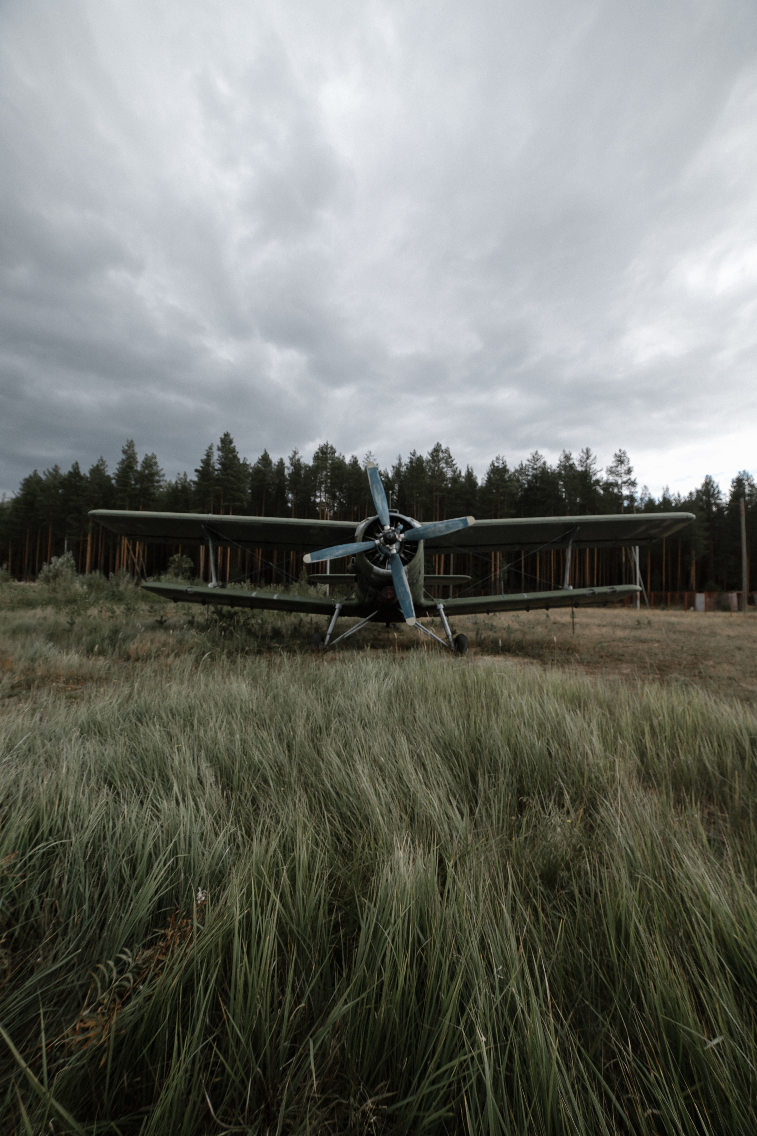 WAU. Свадебный фотограф Москва и Санкт-Петерург Артем Мамонов