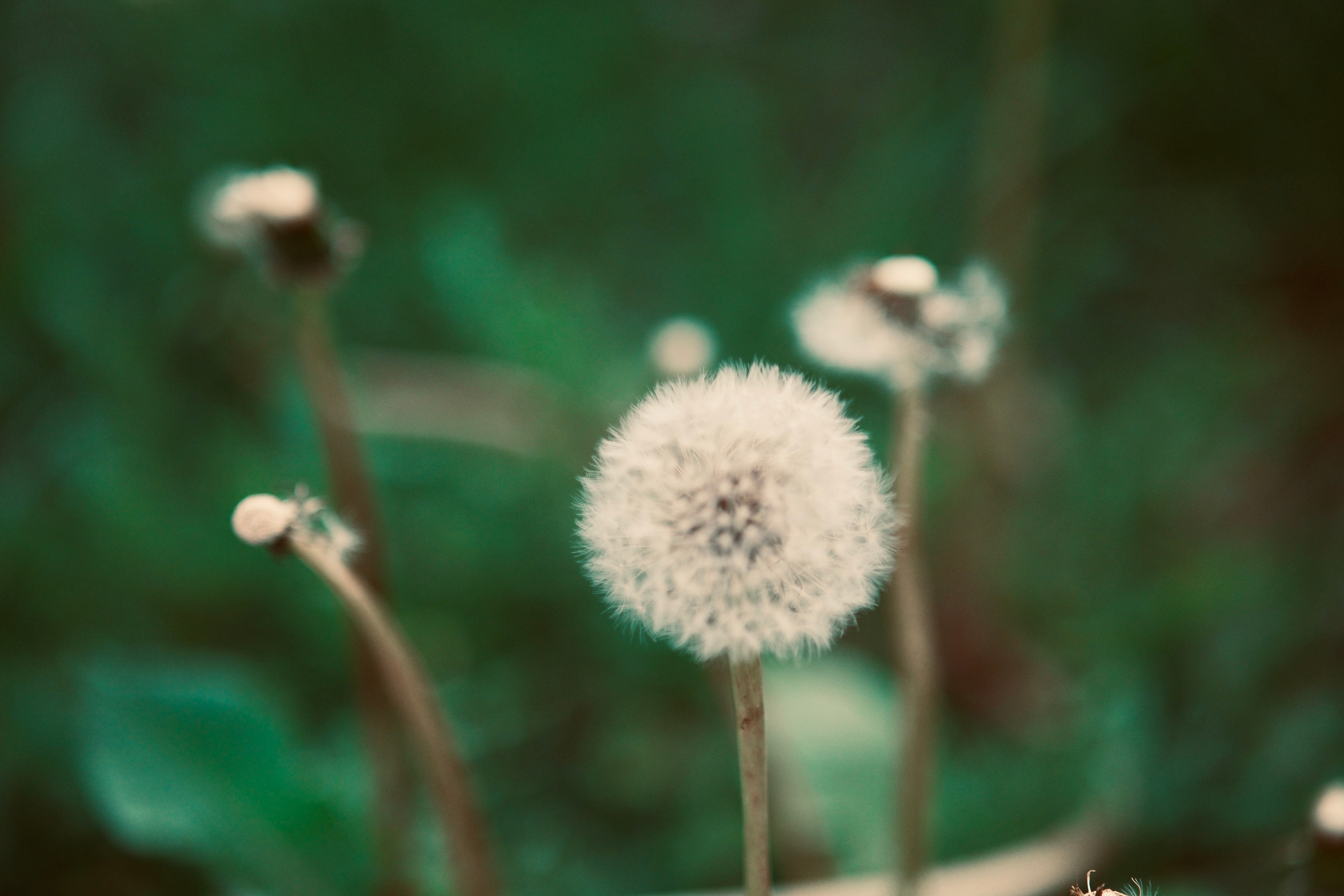 Фотограф Москва. Фотограф и художник в Москве Евгения Нюнина