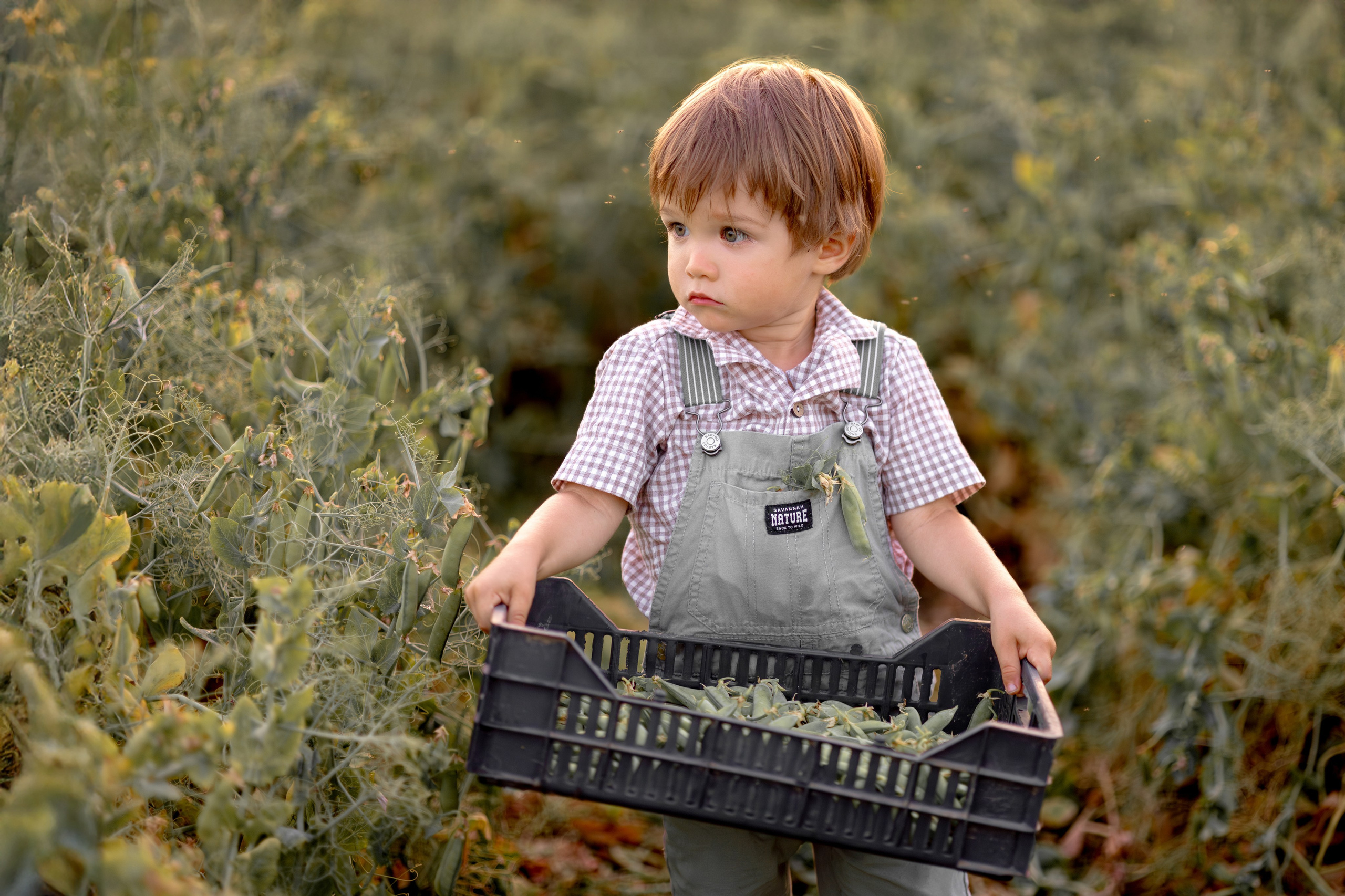 Семейный и детский фотограф Рядчикова Екатерина Москва