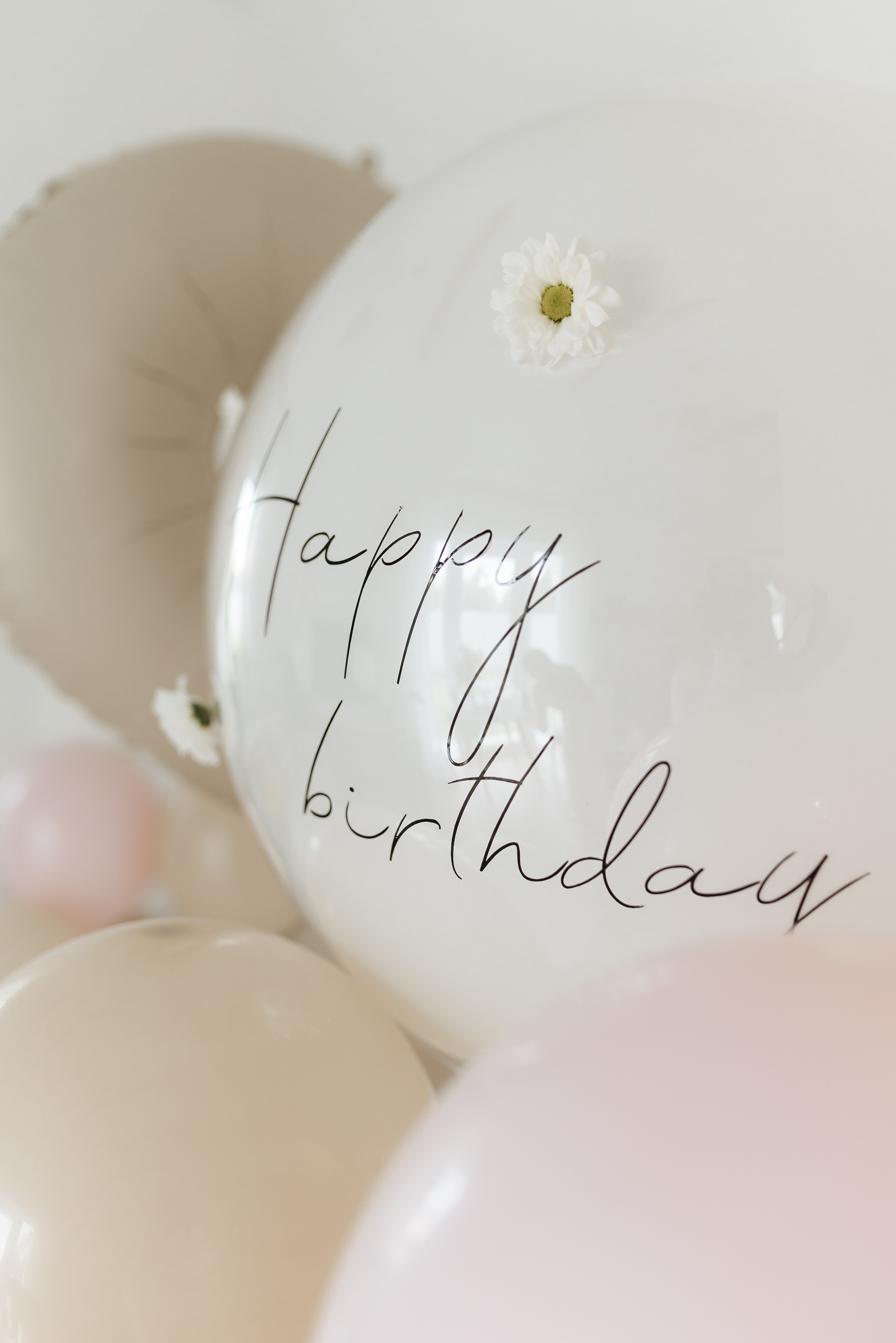 HB Girl. Фотограф Екатеринбург Александра Гнусина