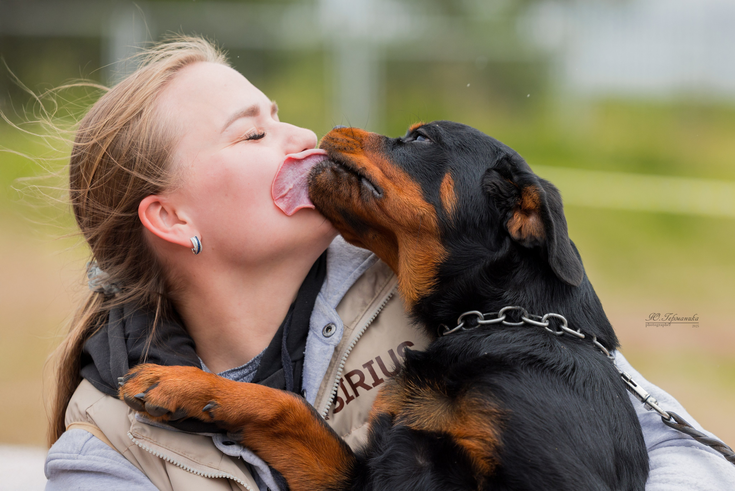 Тверь ротвейлеры 5-6.07.2025. Фотограф-анималист Юлия Германика