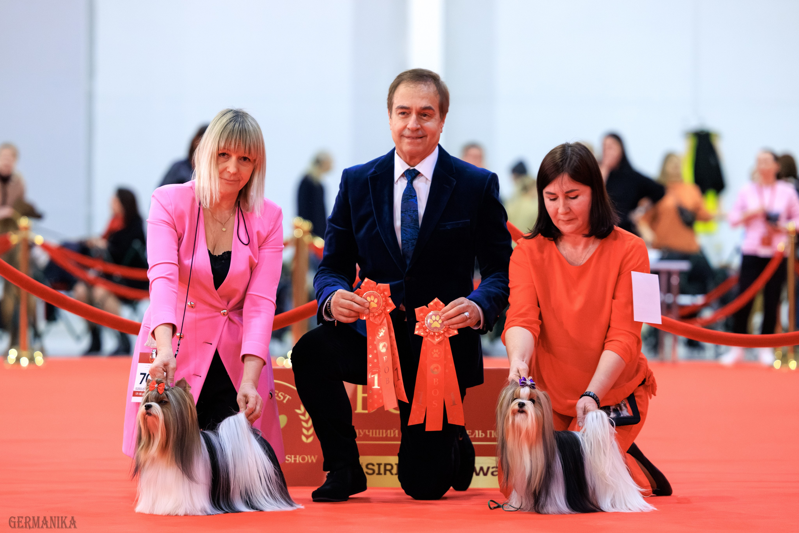 Лучшие Собаки России 17-18.02.2024. Фотограф-анималист Юлия Германика