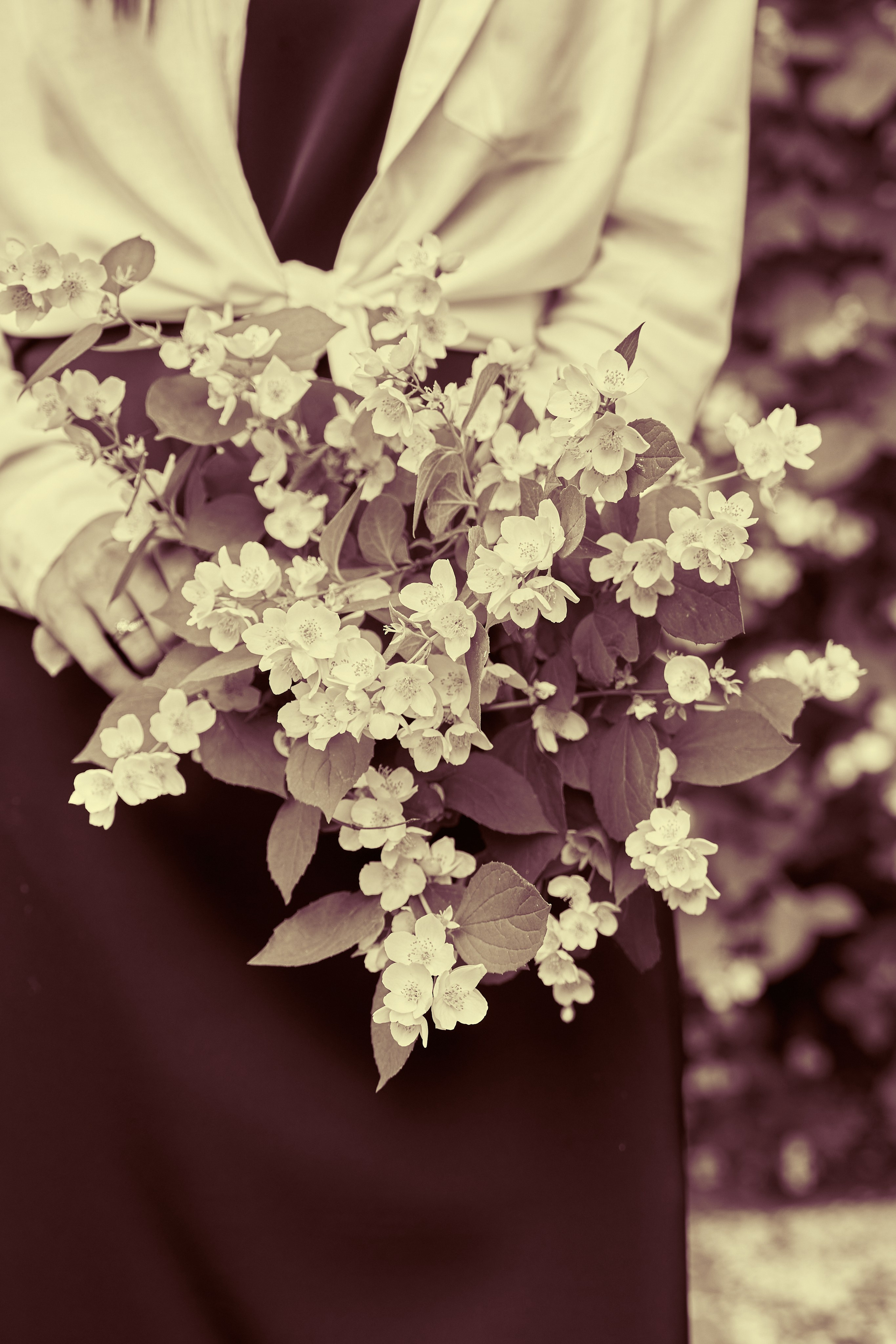 Анастасия в жасмине. Фотограф Светлана Боровикова в Домодедове