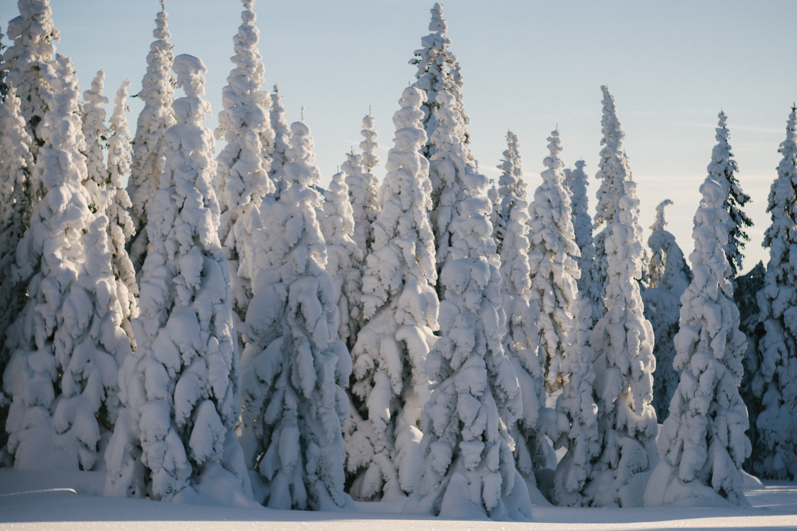 Фотографии из путешествий. NECULTURED PHOTOGRAPHER