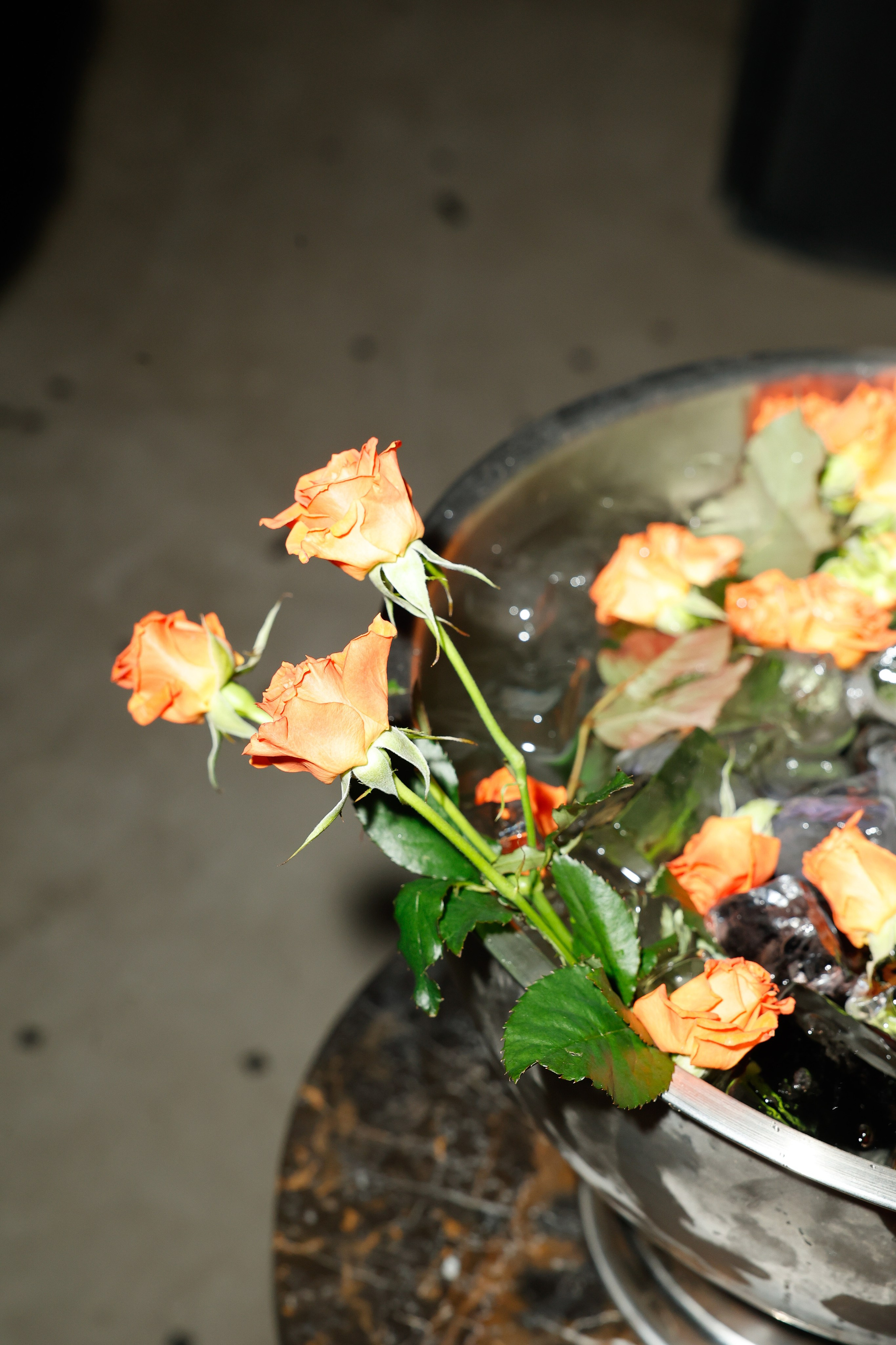 ДИМА ЕРМУЗЕВИЧ. Nikolskayasecular