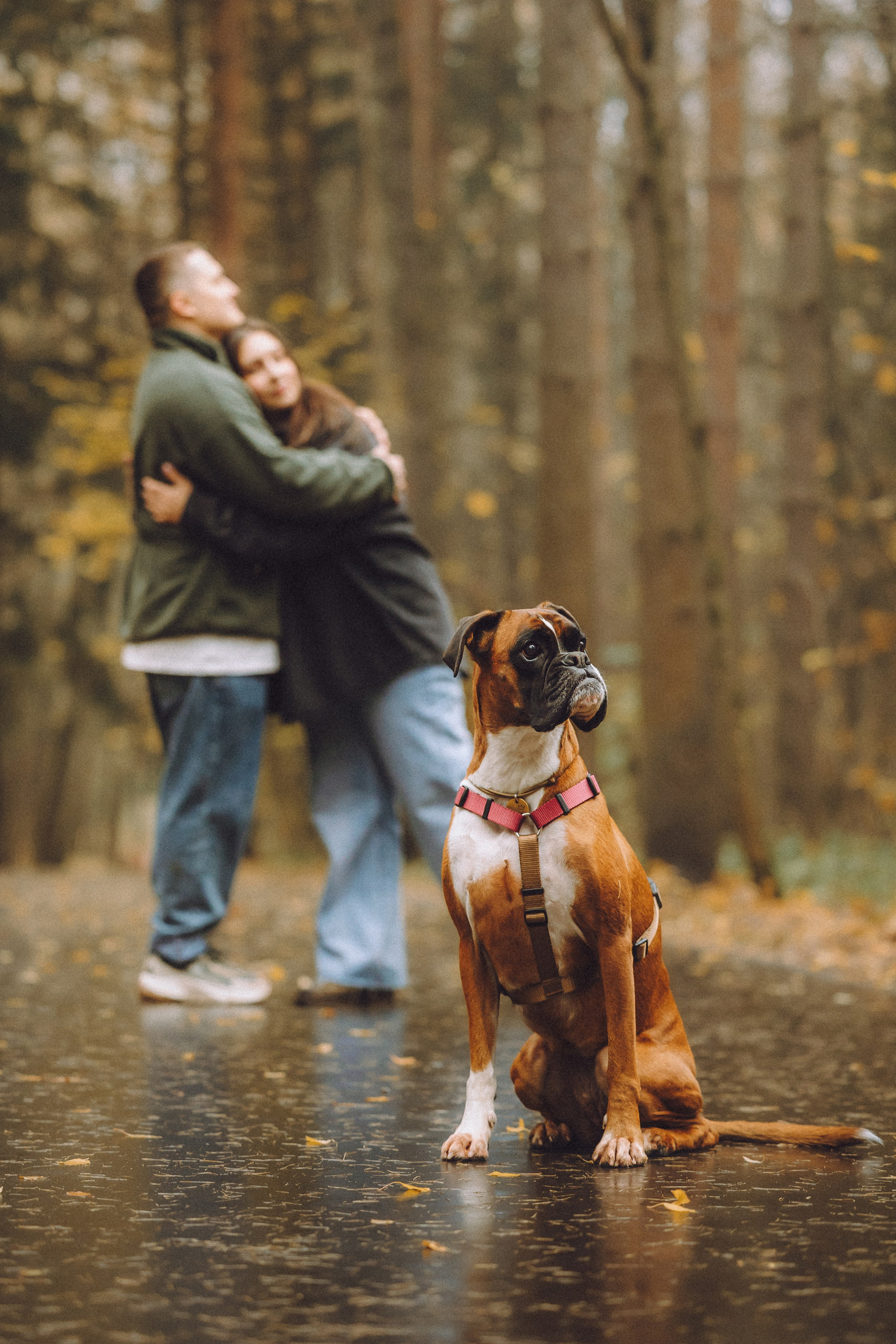 Элли и ее семья