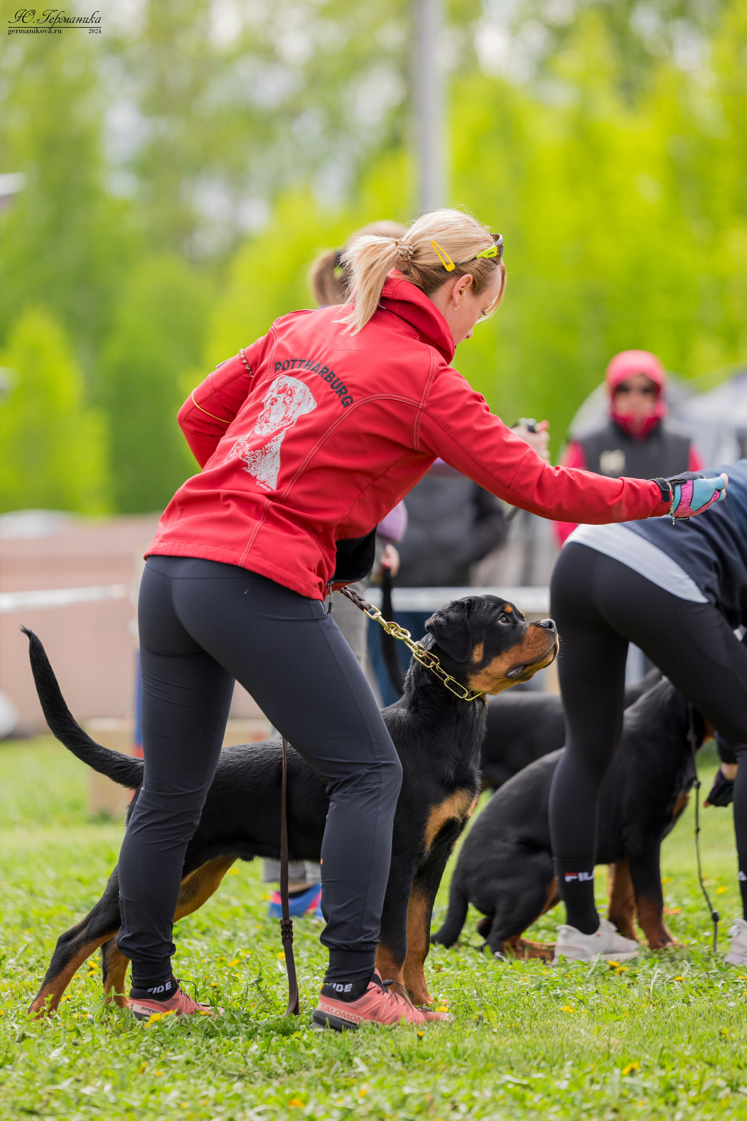 Нижний Новгород 11-12.05.2024 моно ротвейлеров. Фотограф-анималист Юлия Германика