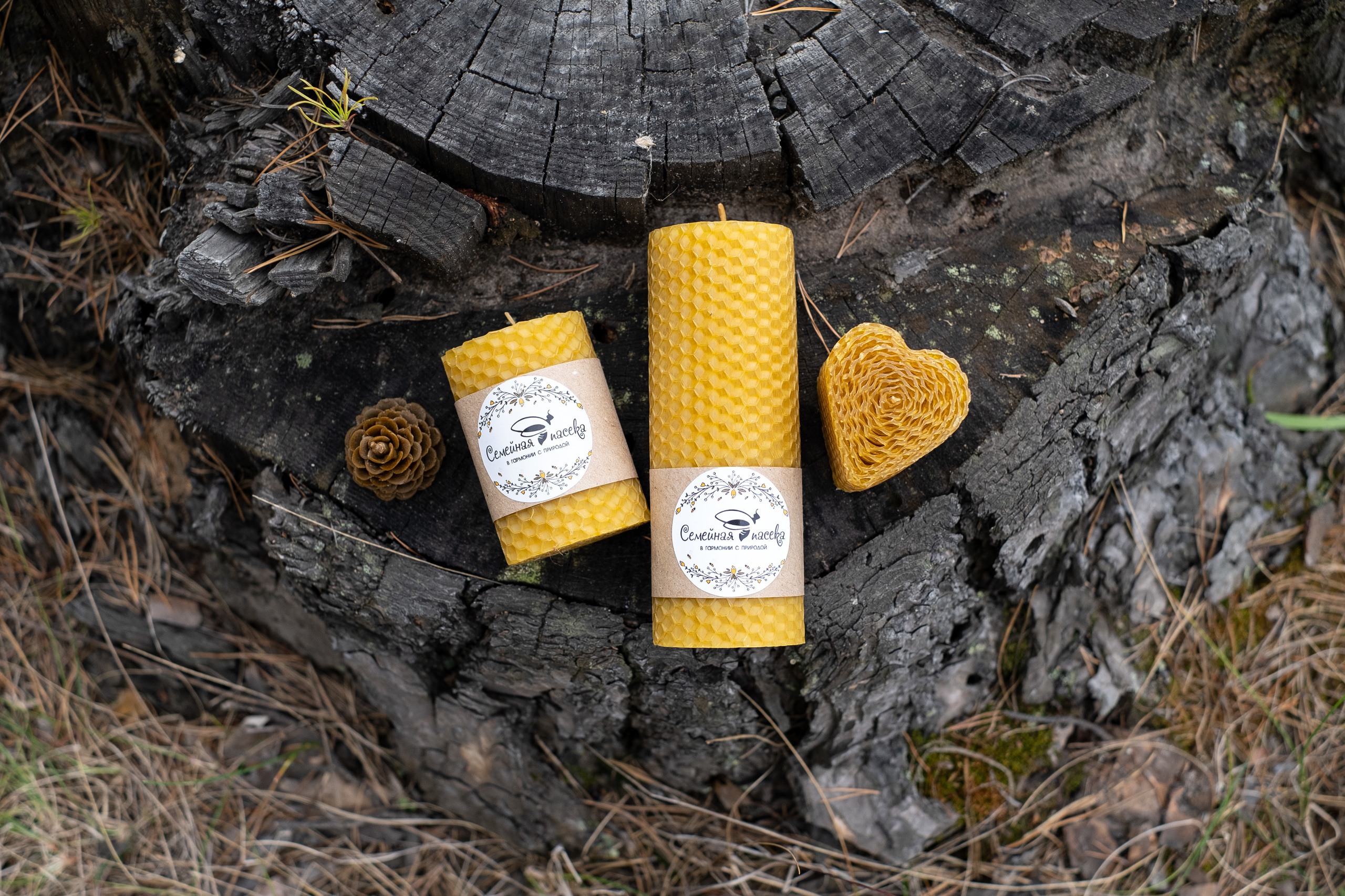 Продукция «Семейная пасека». Профессиональный фотограф Барнаул Анастасия Фримал