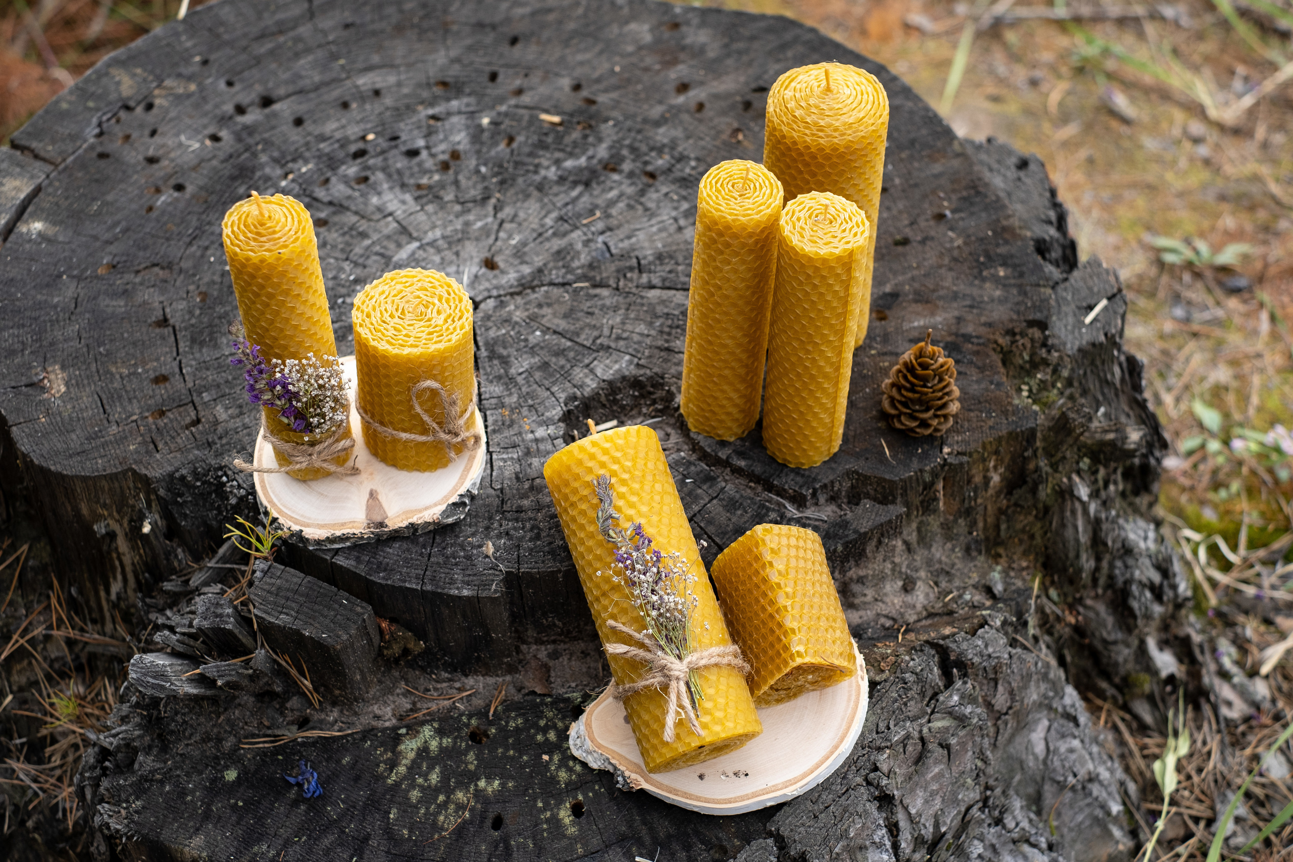 Продукция «Семейная пасека». Профессиональный фотограф Барнаул Анастасия Фримал