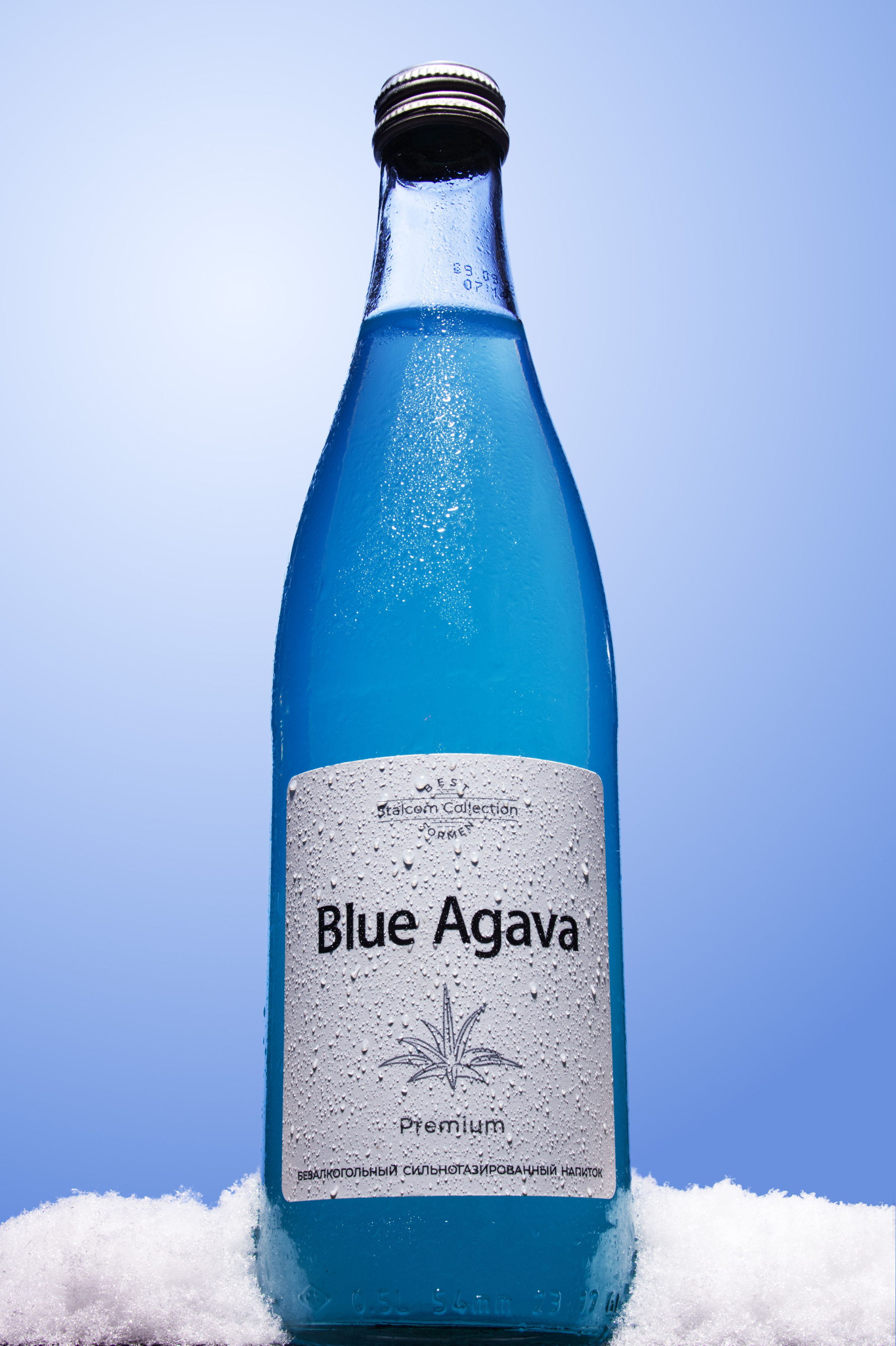 фотография Blue agava
