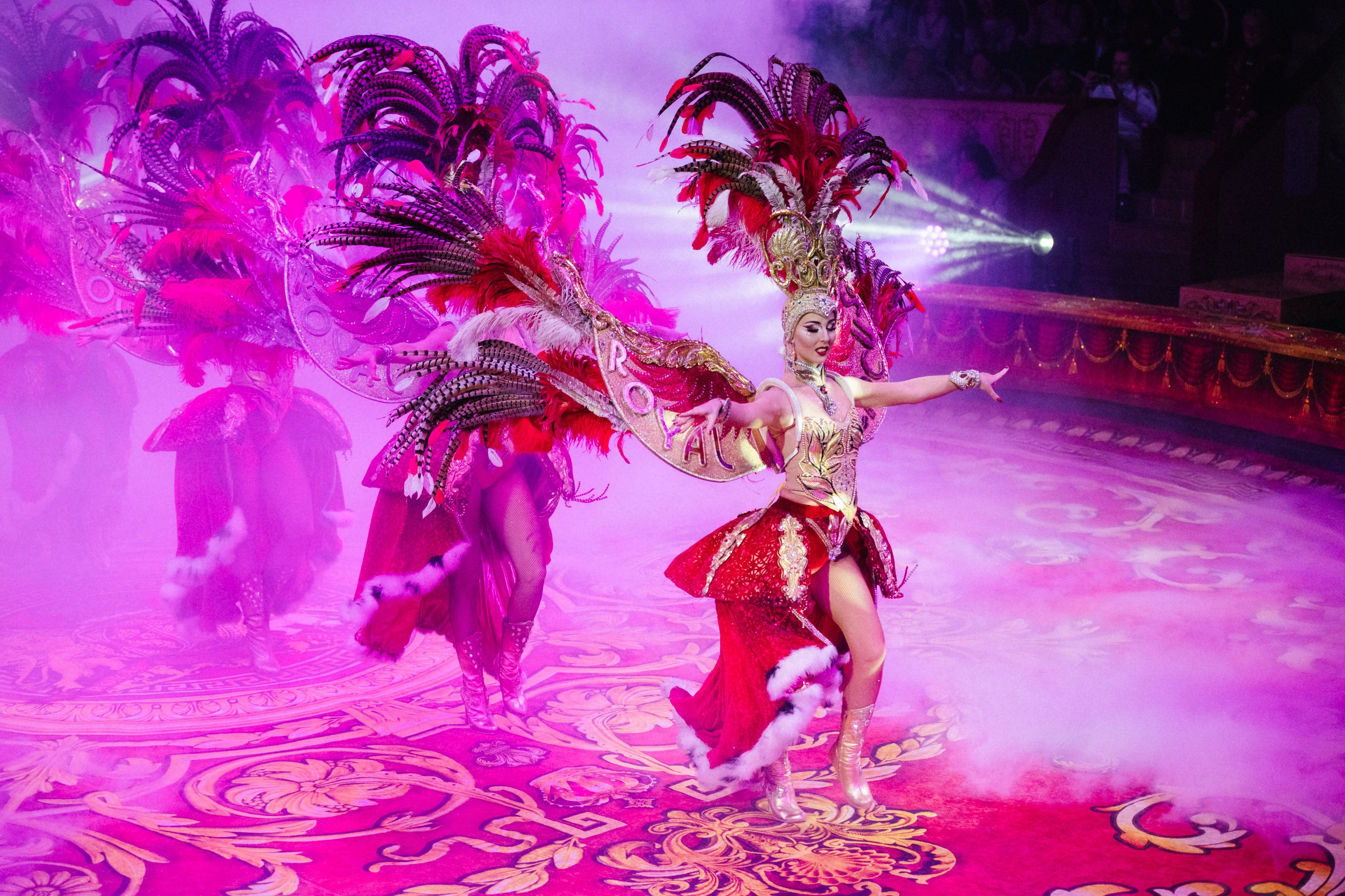 Королевский Цирк Гии Эрадзе. Репортажный и портретный фотограф в Санкт-Петербурге Степлевич Дарья