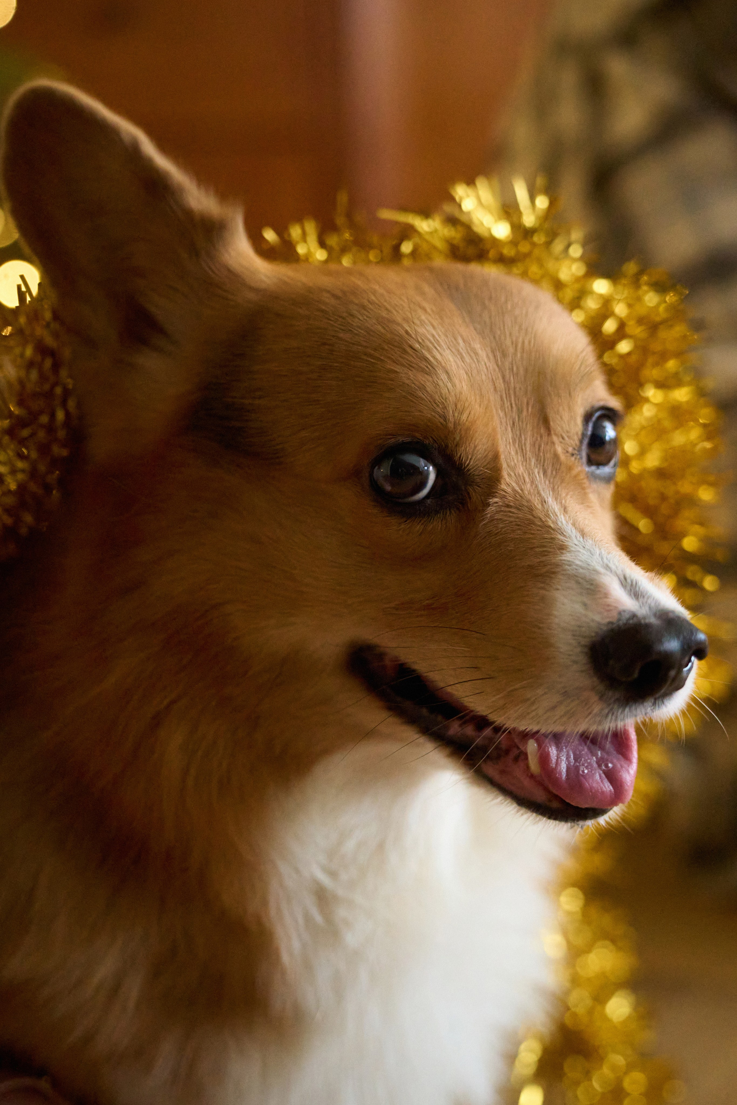 Максим, Кристина и Кофри. Фотограф из Владивостока Юлия Черепова