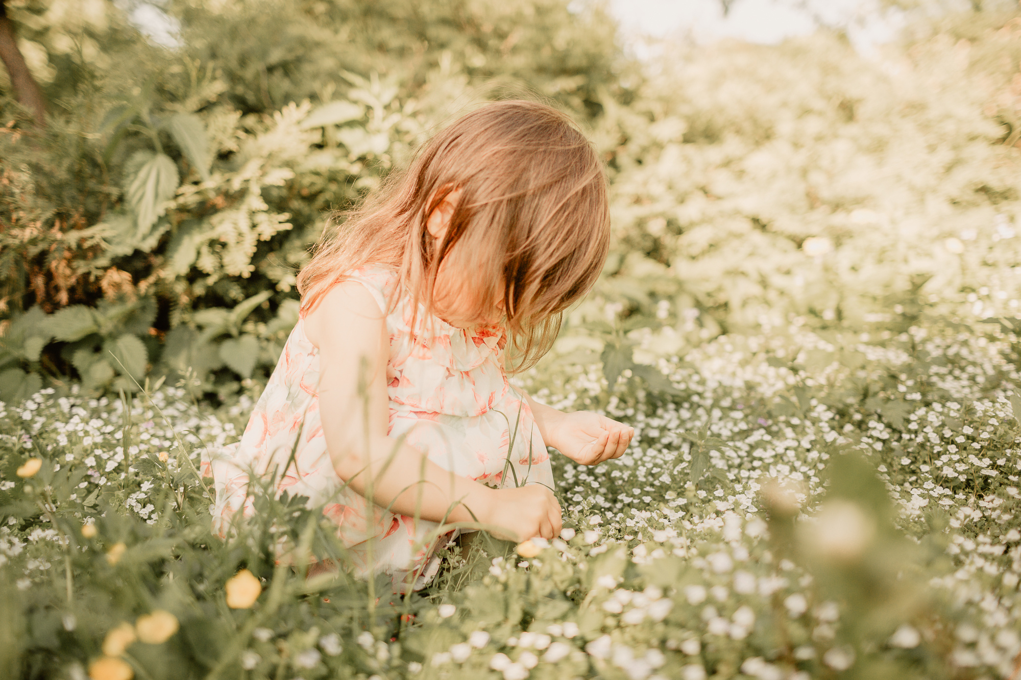 Где, когда и что будет цвести в Москве