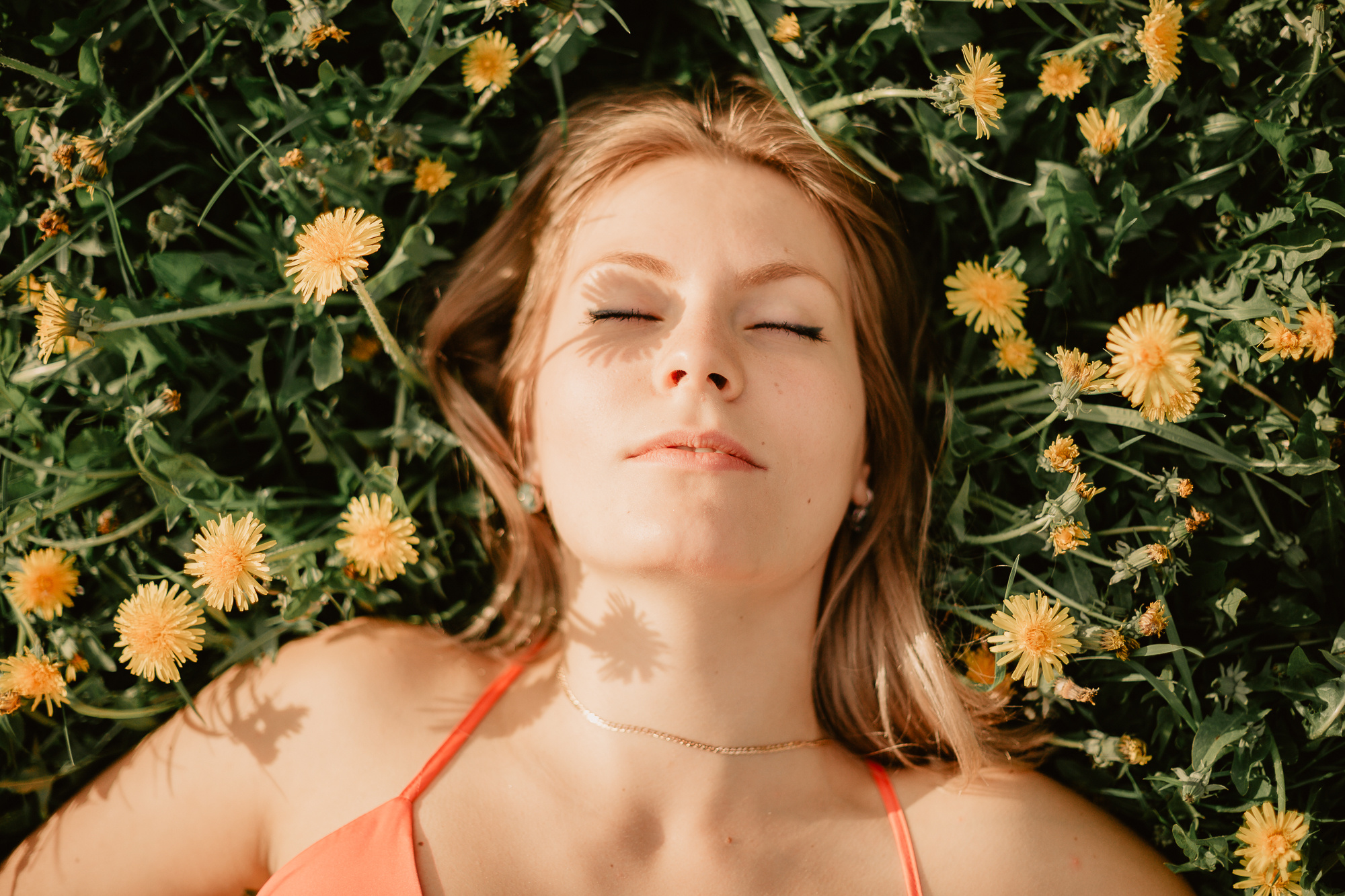 Где, когда и что будет цвести в Москве