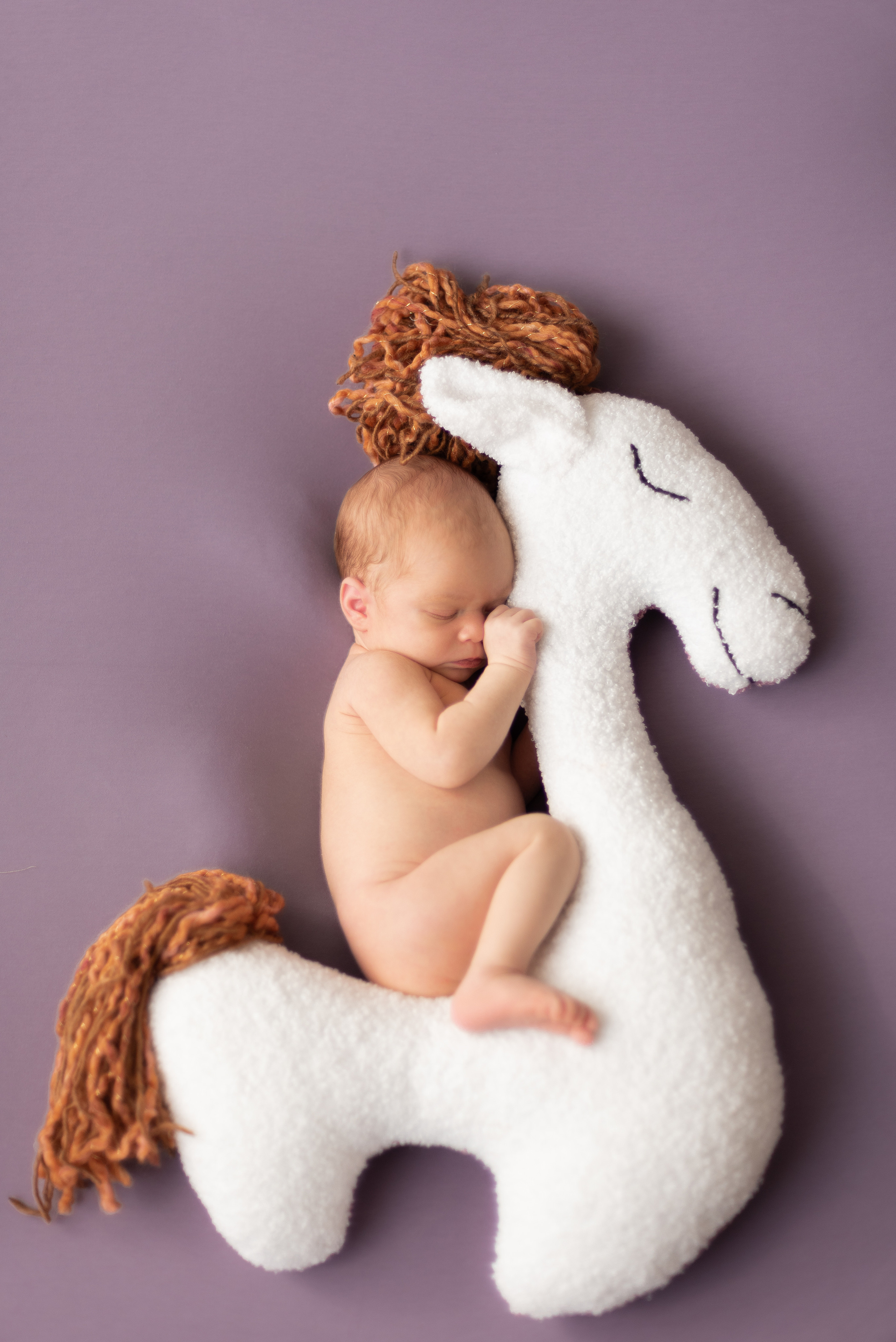 ✨. Профессиональный фотограф новорожденных Тверь