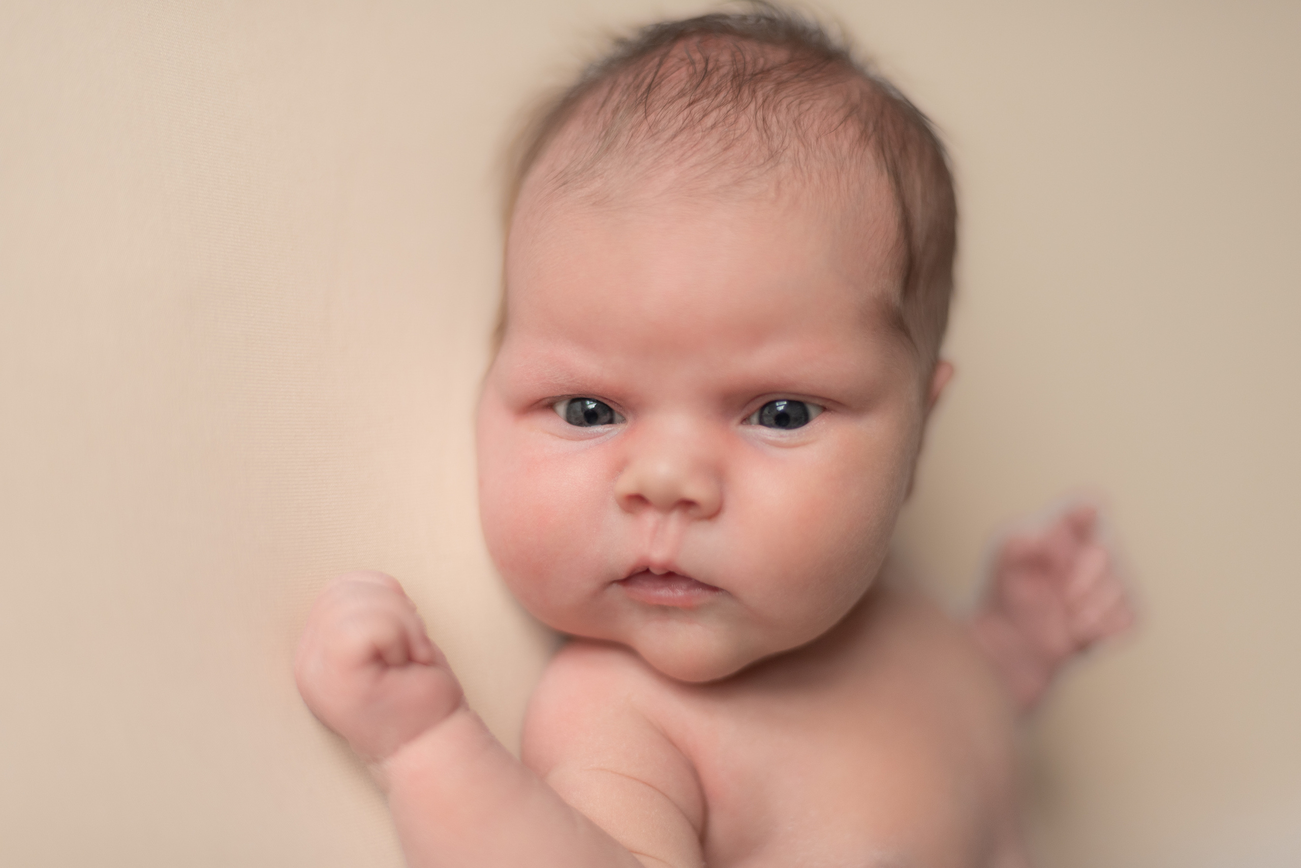 ✨. Профессиональный фотограф новорожденных Тверь