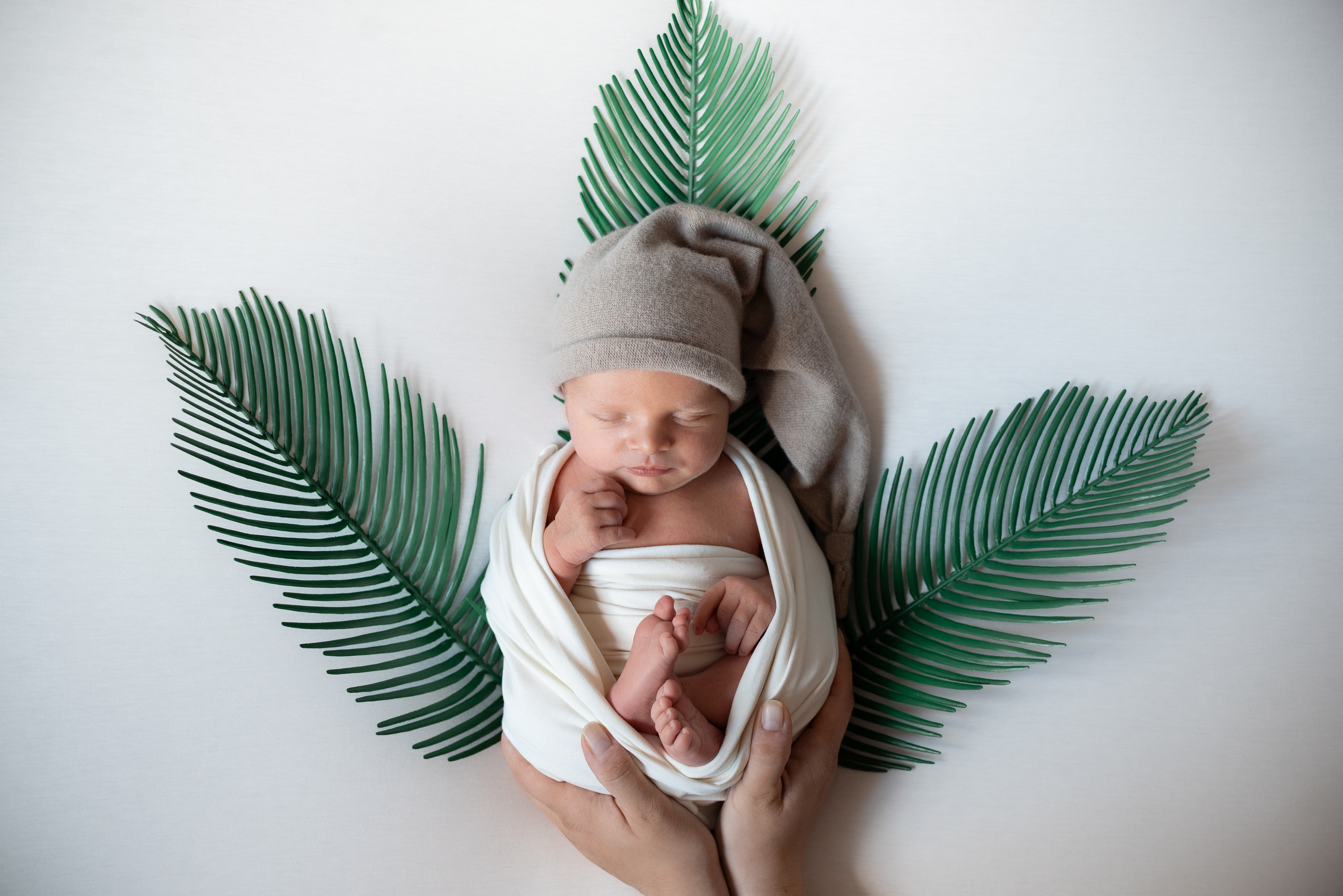 ✨. Профессиональный фотограф новорожденных Тверь