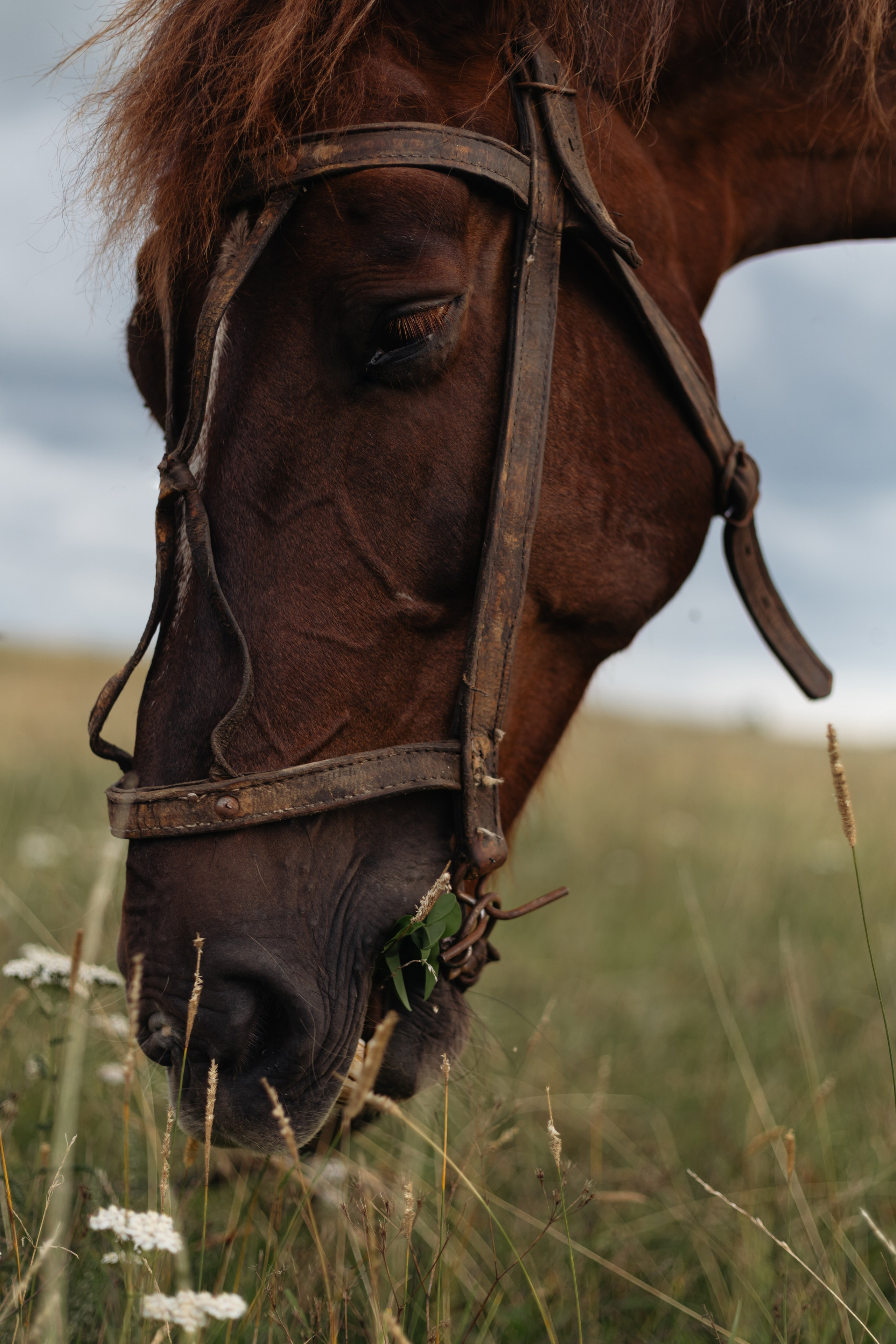 Леана. Фотограф Айгуль Габсаматова Октябрьский
