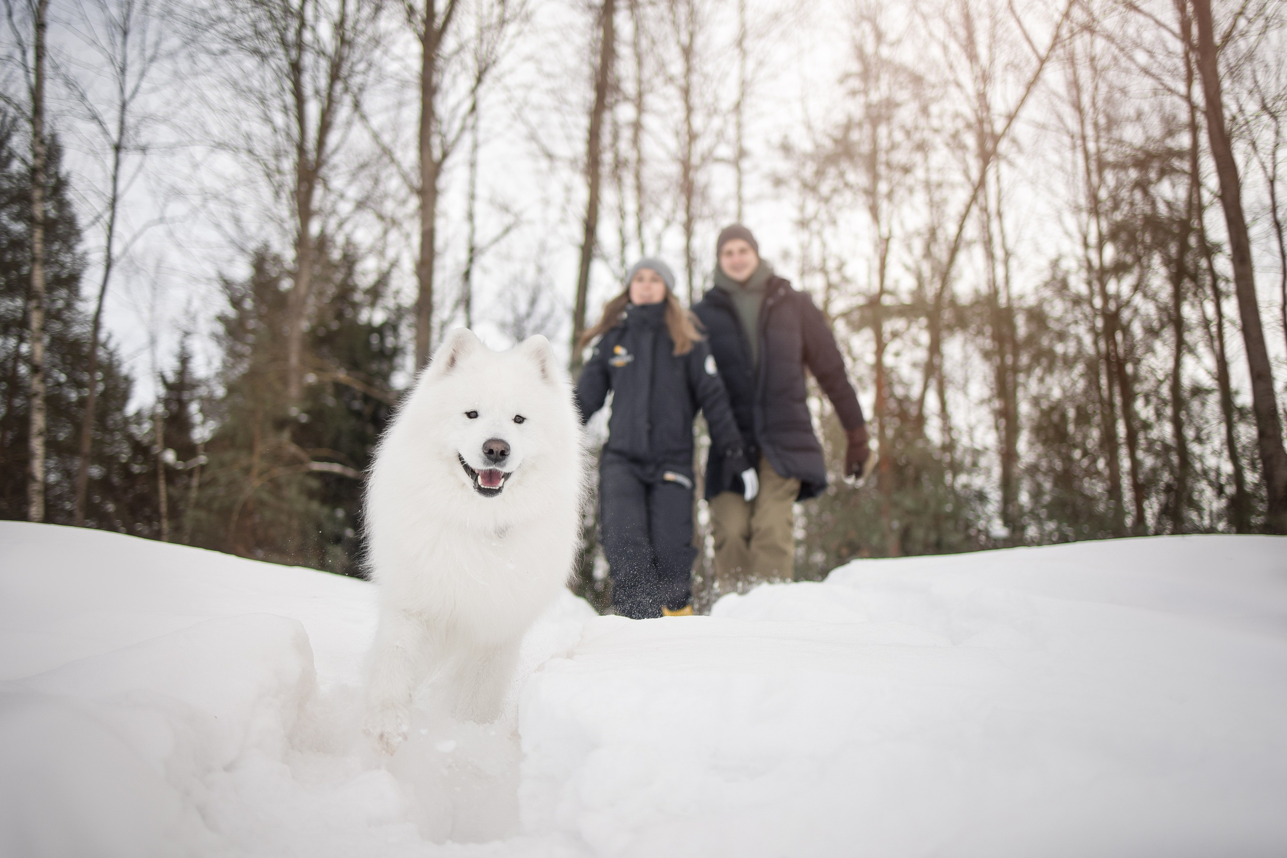 Дмитрий, Наталья и Панти. Фотограф анималист в Москве Майорова Евгения