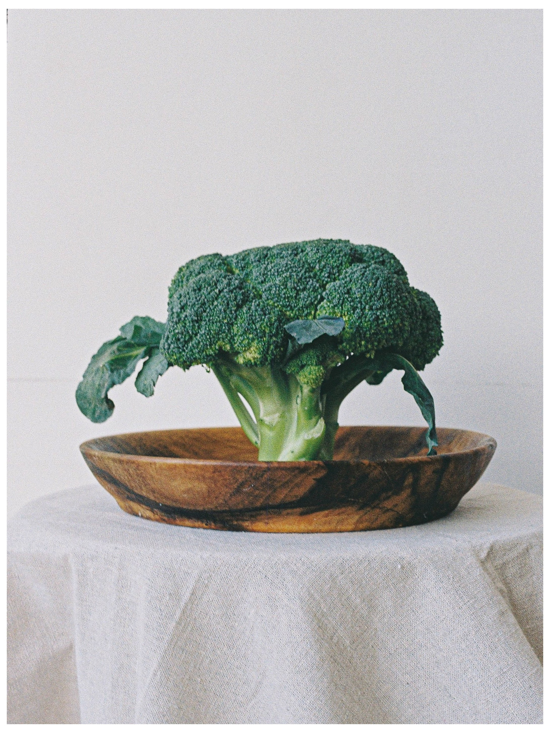 Фотограф в Санкт-Петербурге & КМВ Боровская Анна