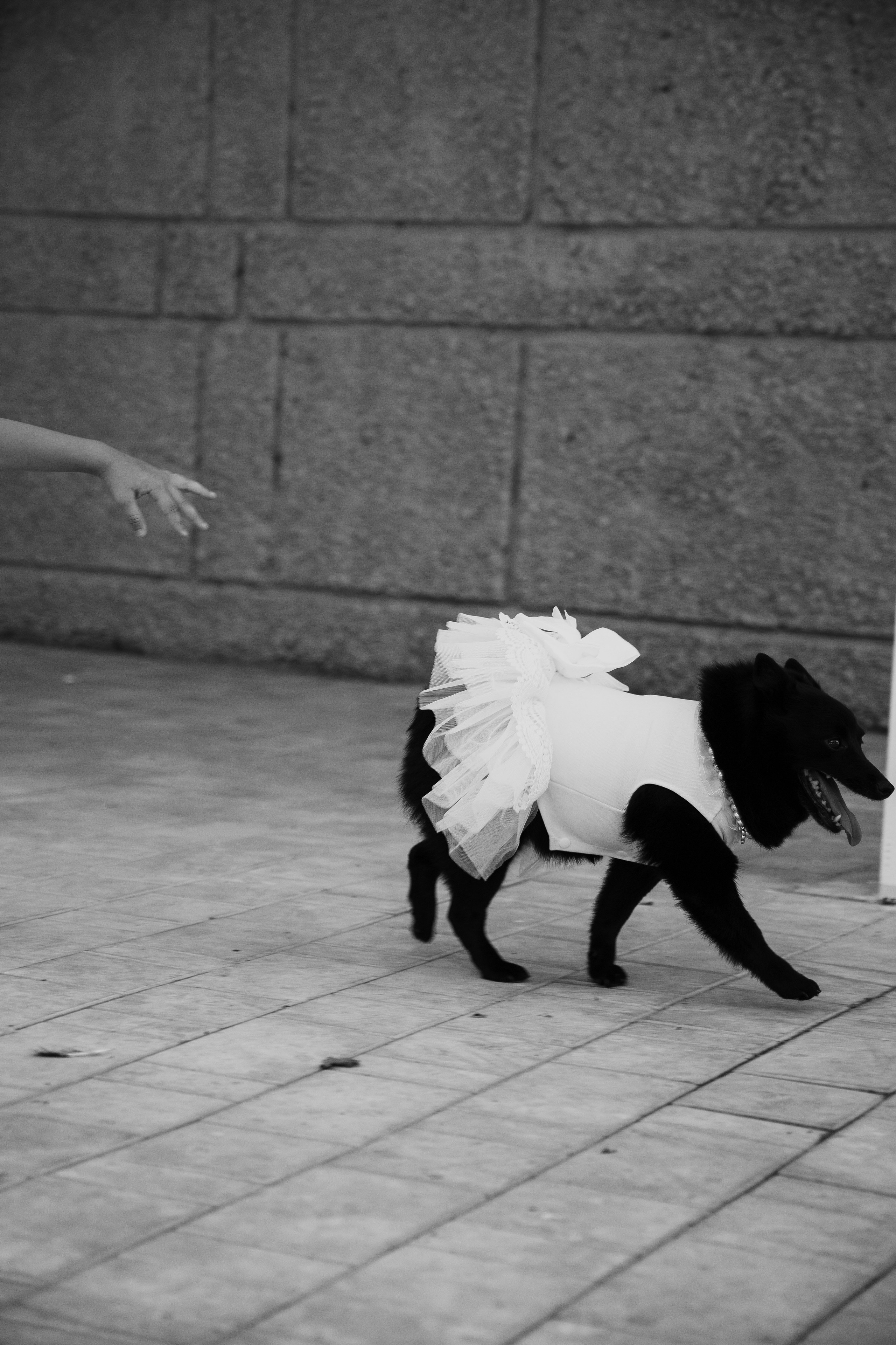 Ольга и Павел. Фотограф в Обнинске и Калуге Анастасия Антохина