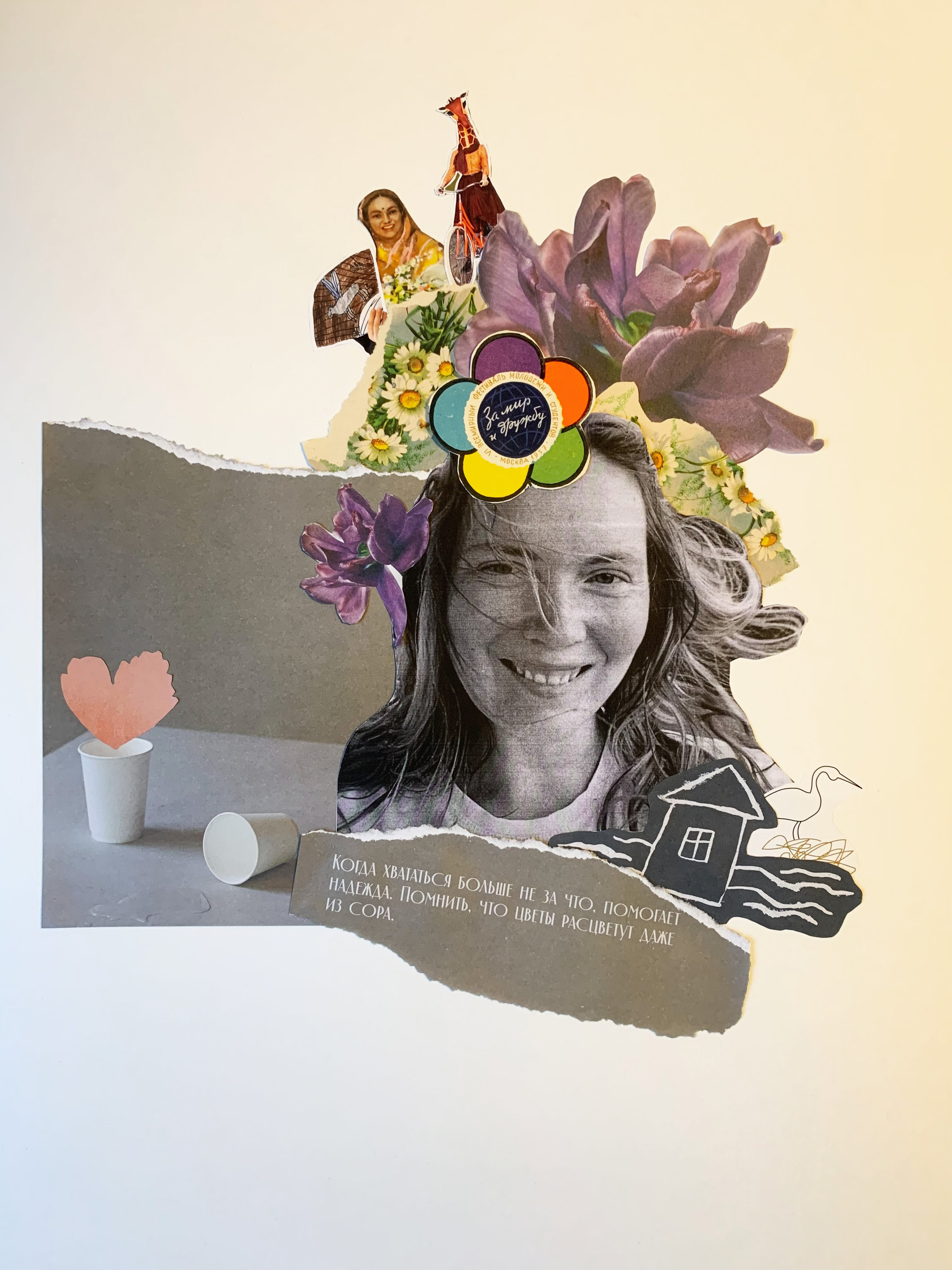 Collages. Марковы: фото, видео, кино и книги