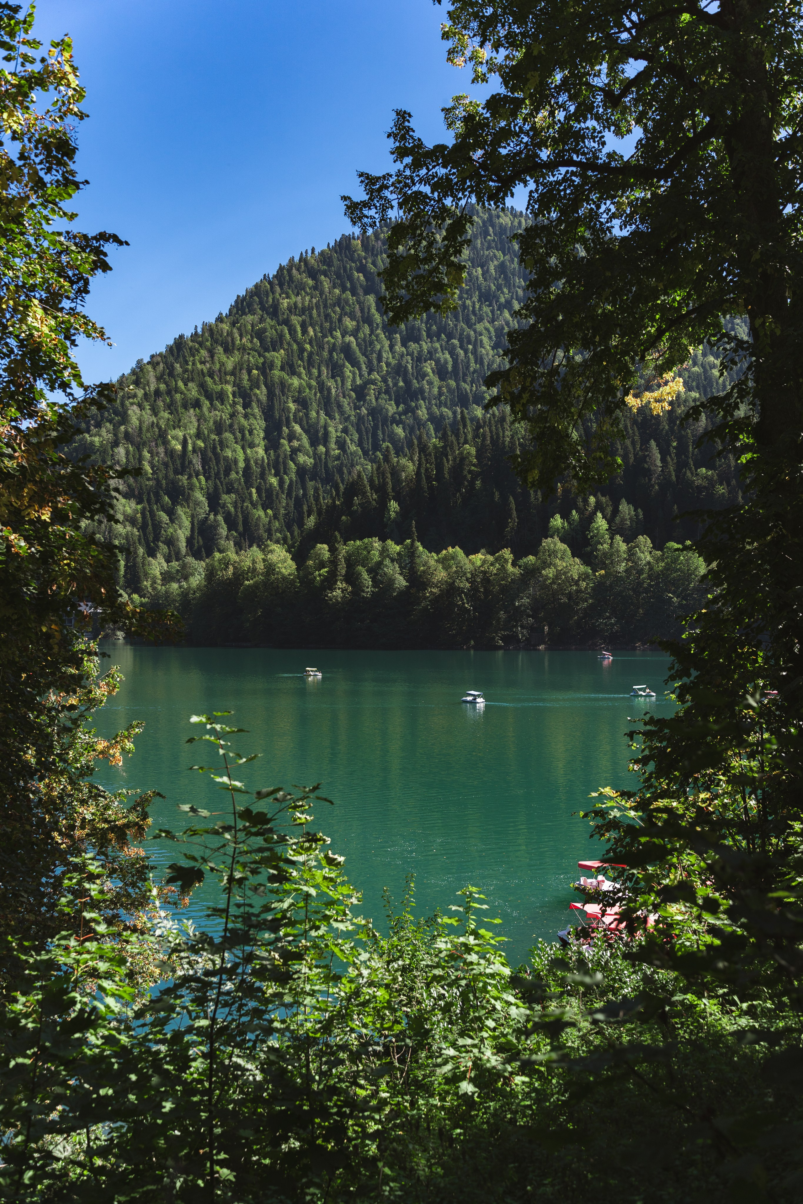 Фотографии из поездки в Абхазию. Предметный фотограф Санкт-Петербург