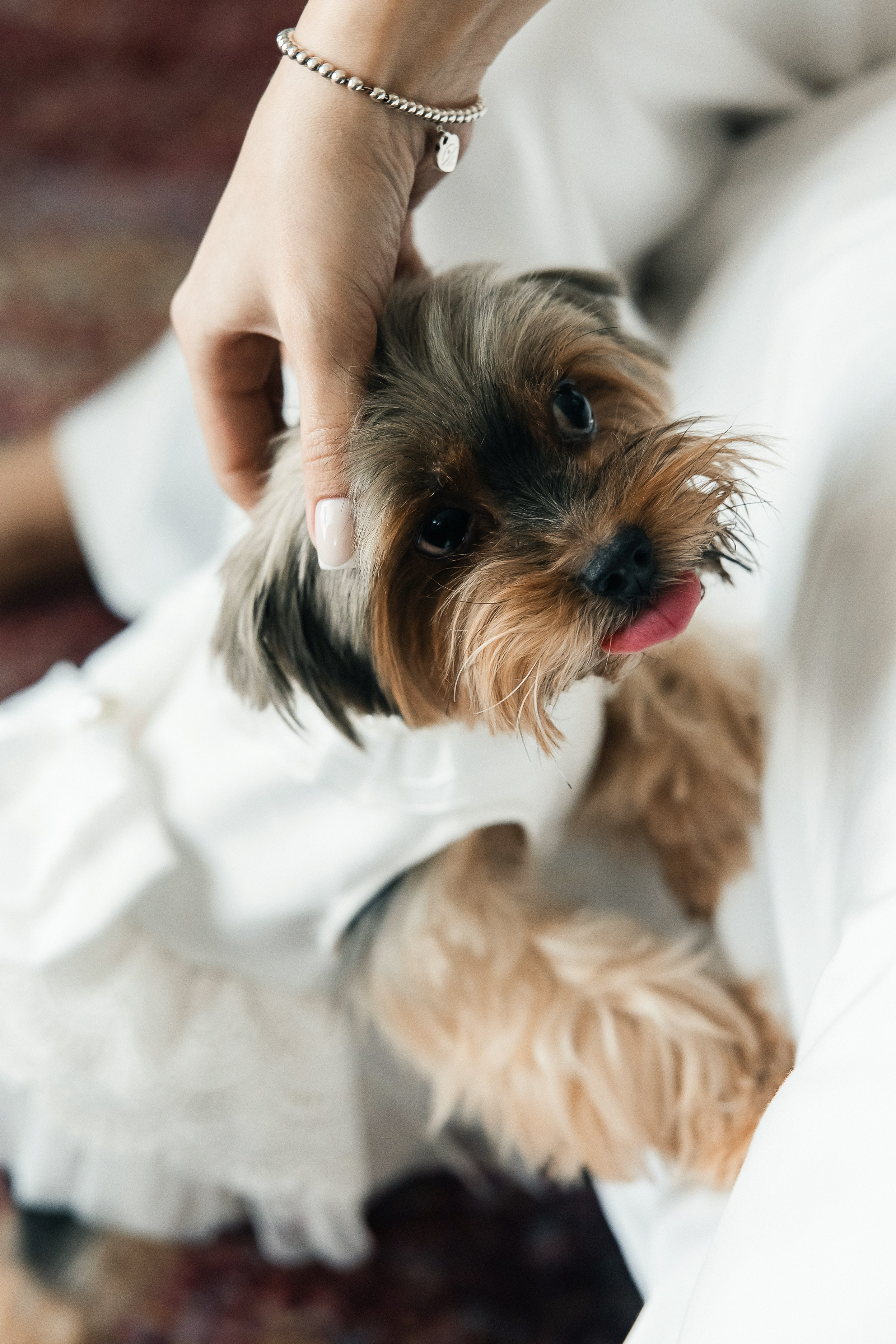 Александр и Валерия. СВАДЕБНЫЙ ФОТОГРАФ МОСКВА