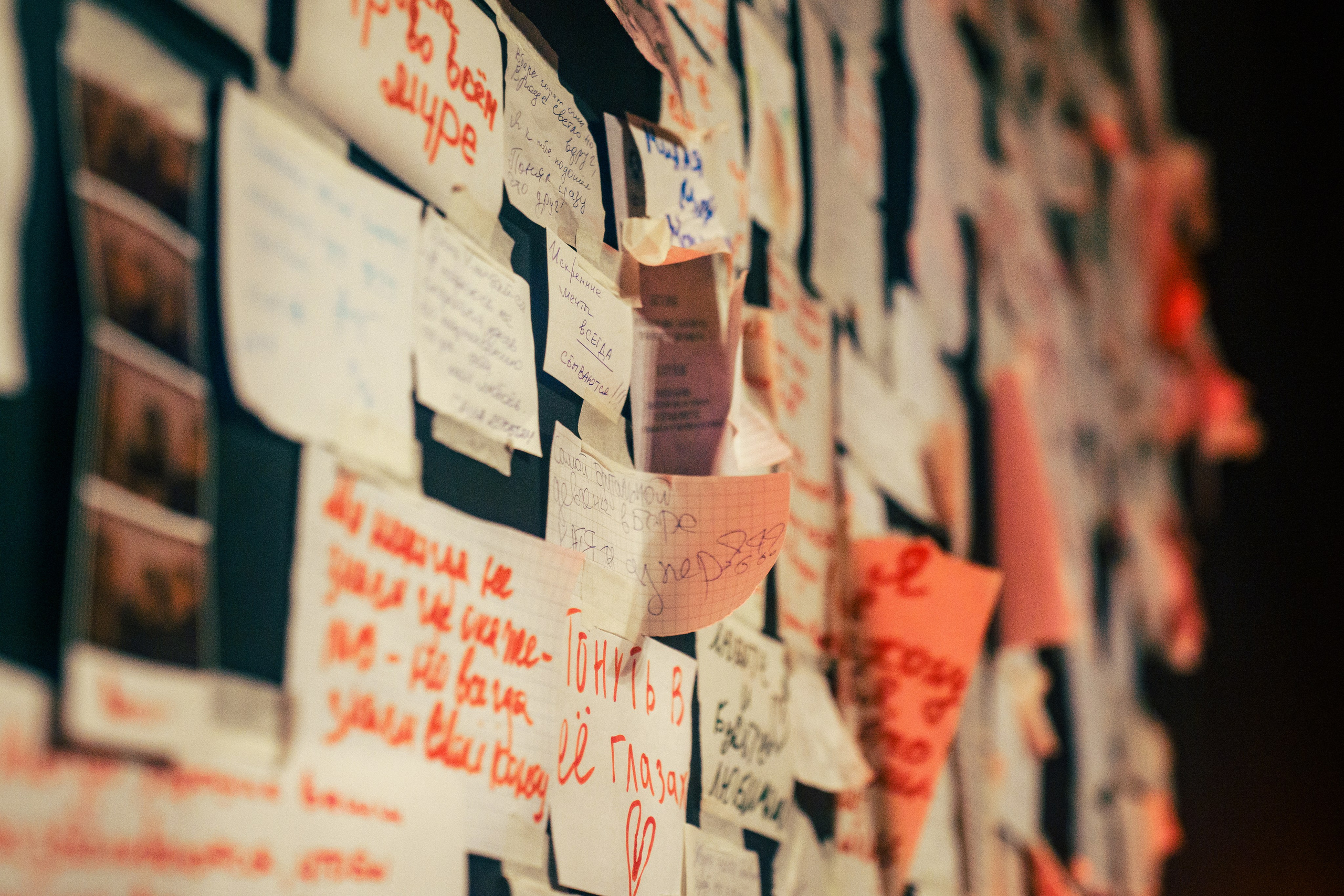 Бар разбитых сердец. Last summer party. Концертный и репортажный фотограф в Санкт-Петербурге Слава Пахомов