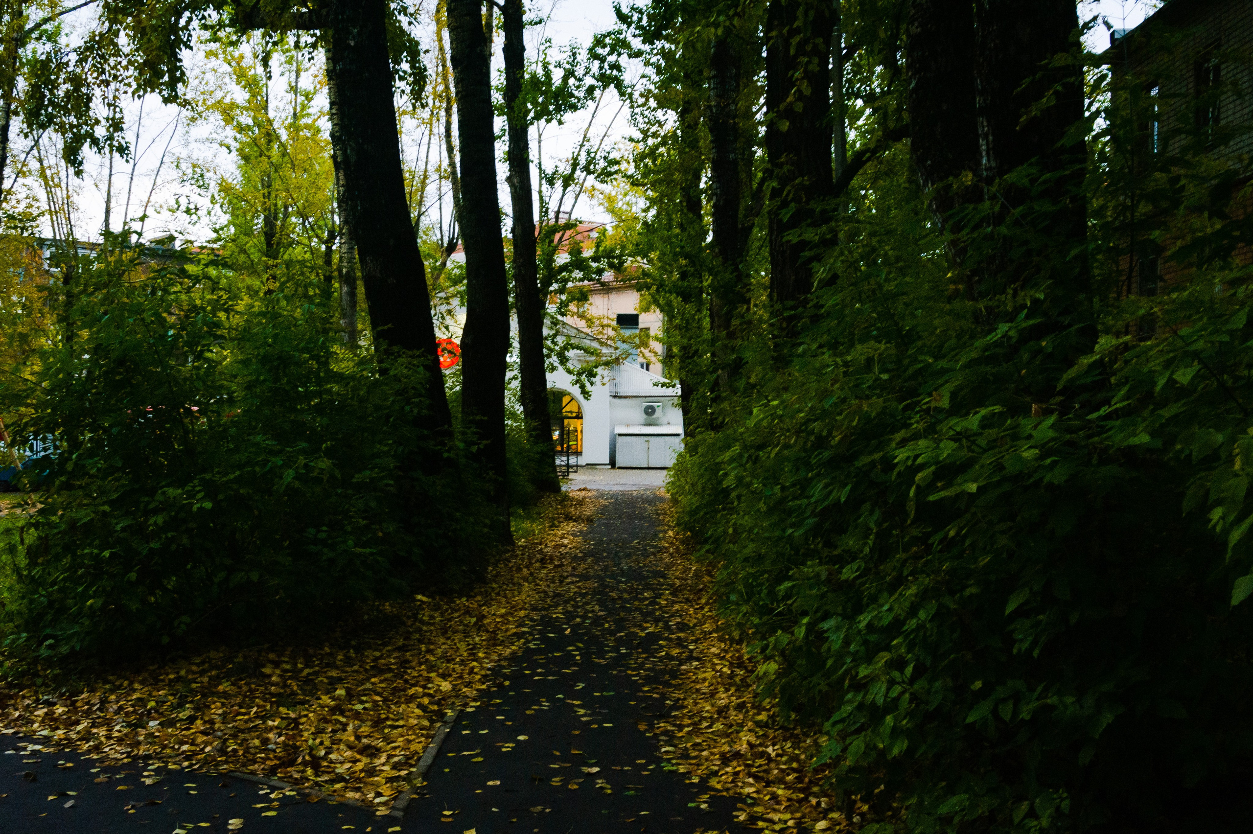 Октябрь 2025. Den Mirov — Фотограф, Музыкант