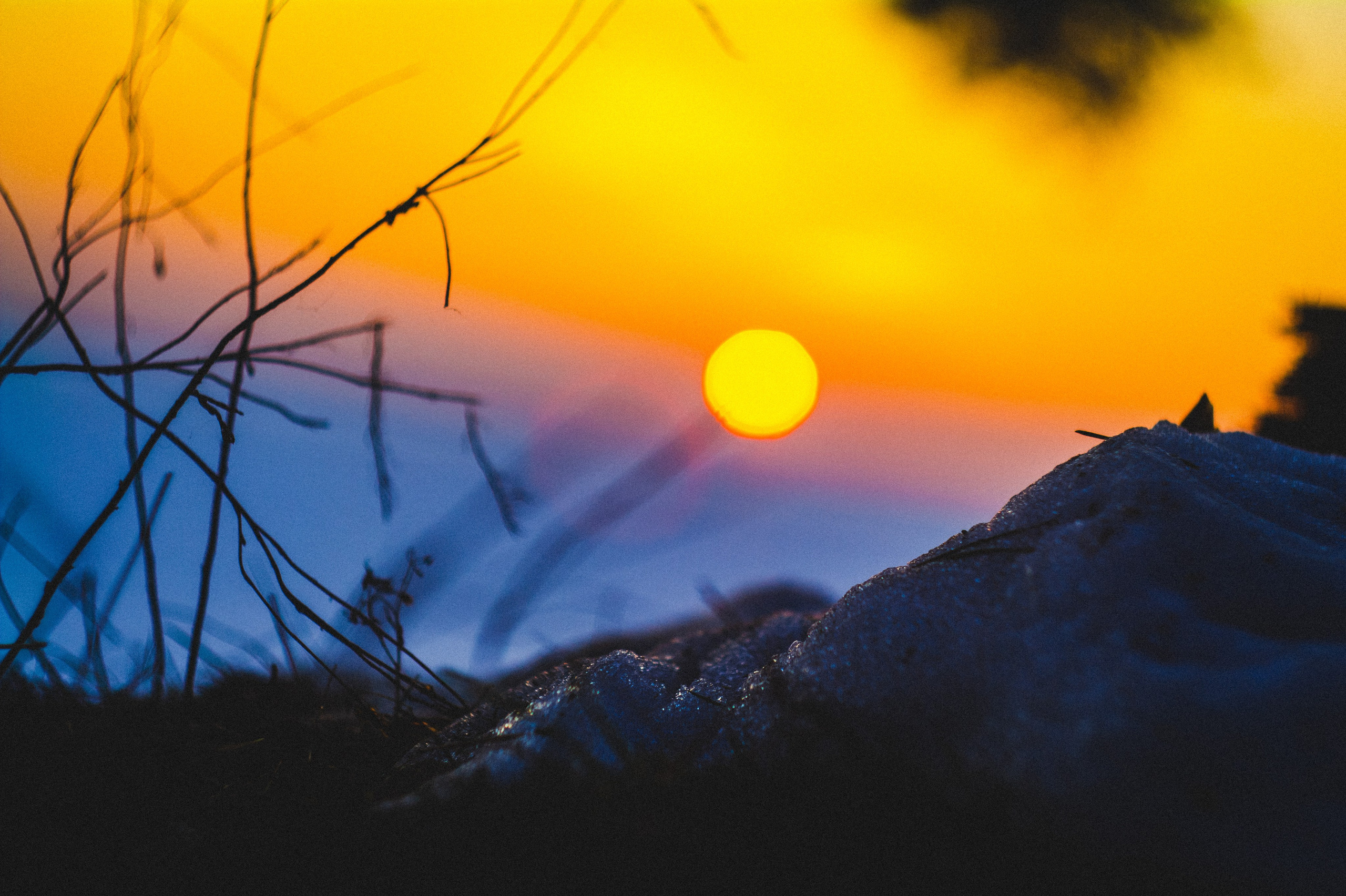 Narcissist. Den Mirov — Photographer, Musician