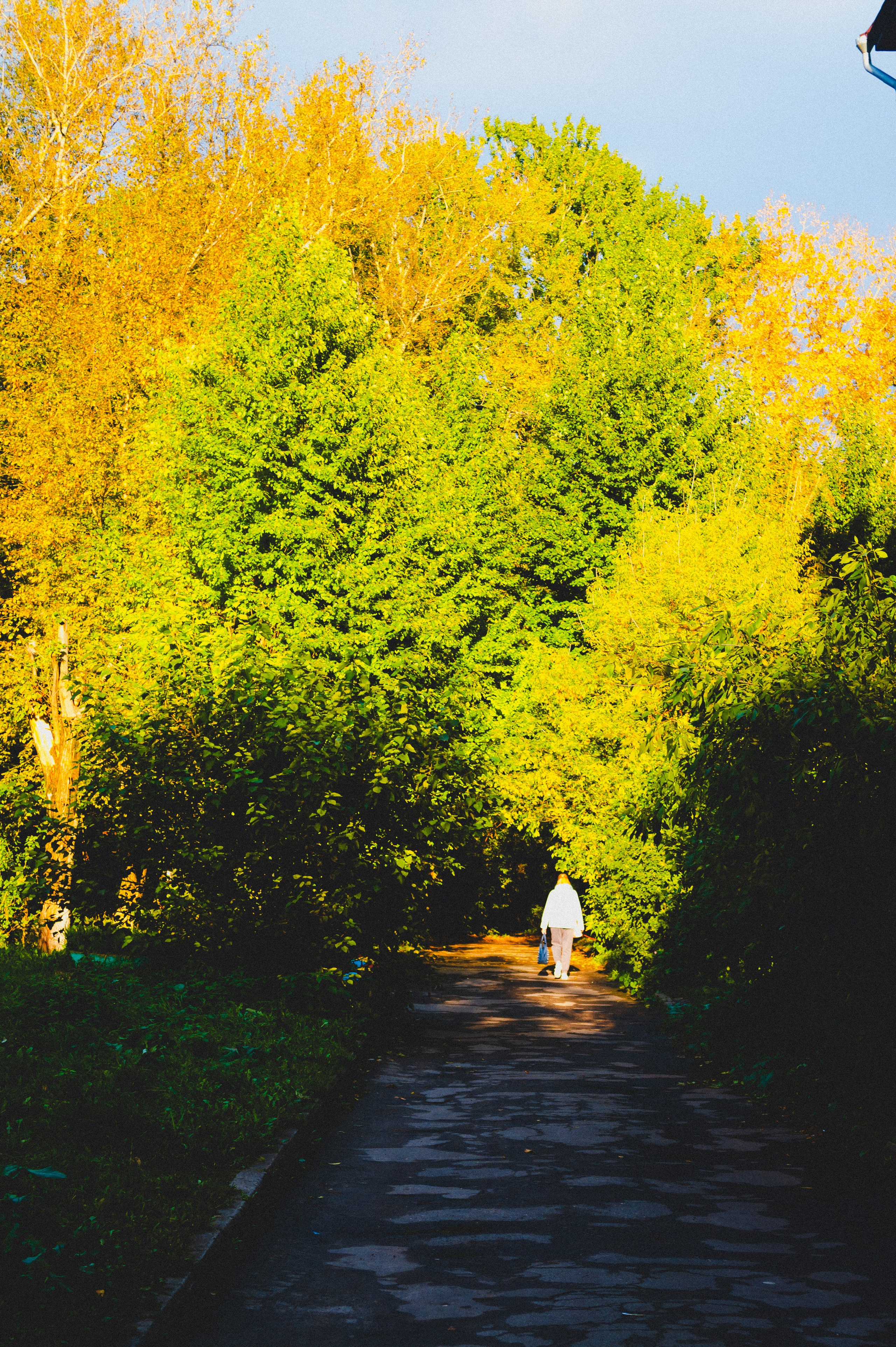 Октябрь 2025. Den Mirov — Фотограф, Музыкант