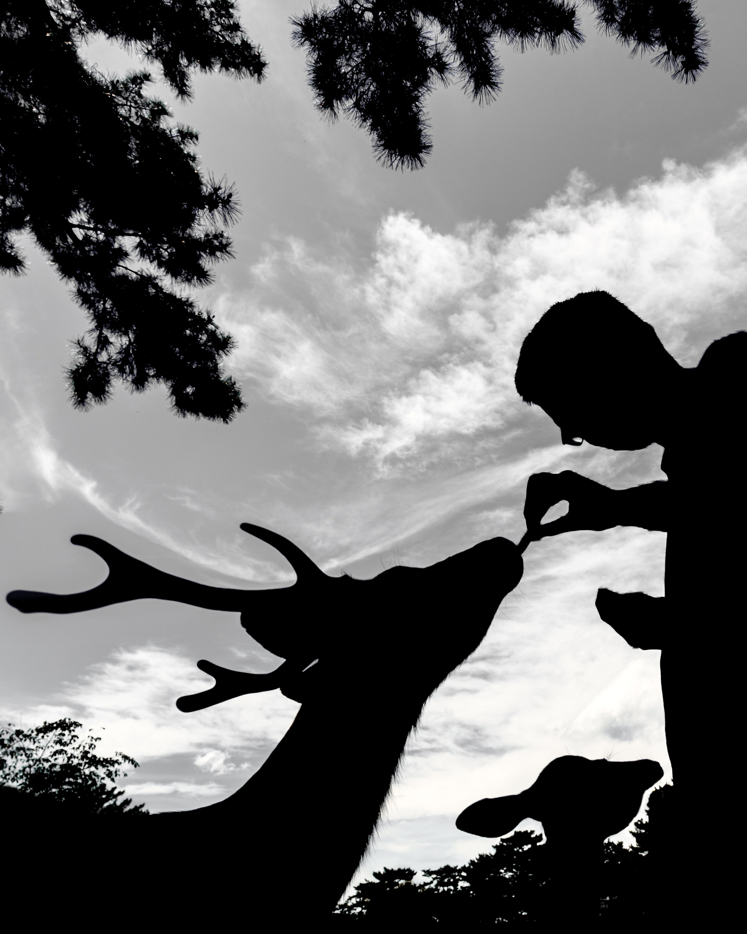 Япония. Фотограф Павел Подшивалов