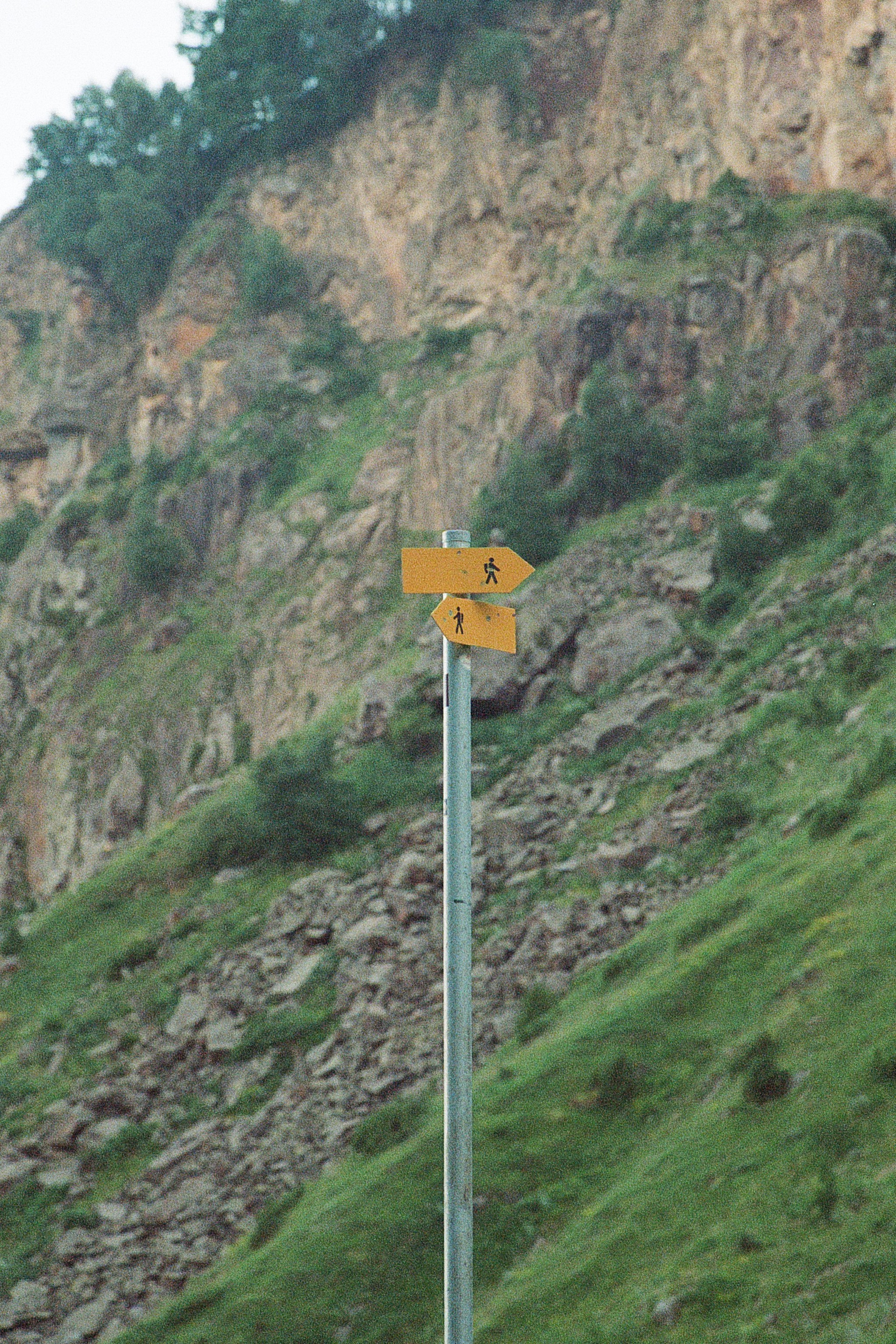 ГРУЗИЯ. ПРИРОДА.25. Профессиональный фотограф Федотова Арина