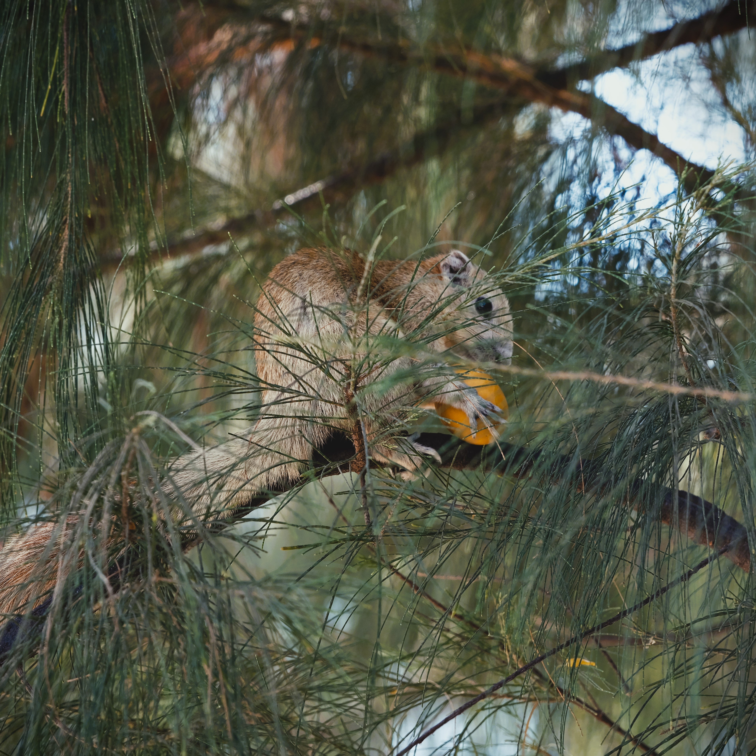 Путешествия и архитектура. Алекс Ком. Автомобильный фотограф и детский писатель из Москвы