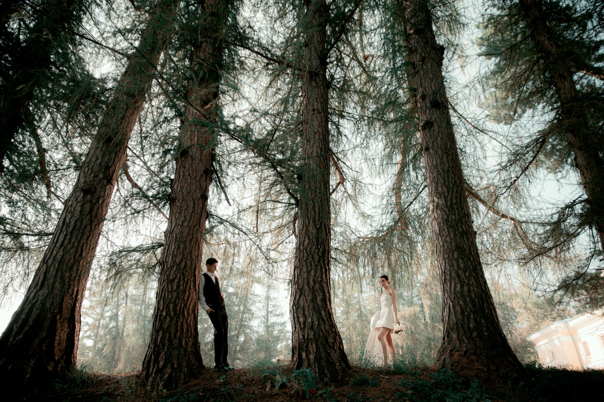 Алёна и Александр. Свадебный и портретный фотограф в Москве Жердев Даниил