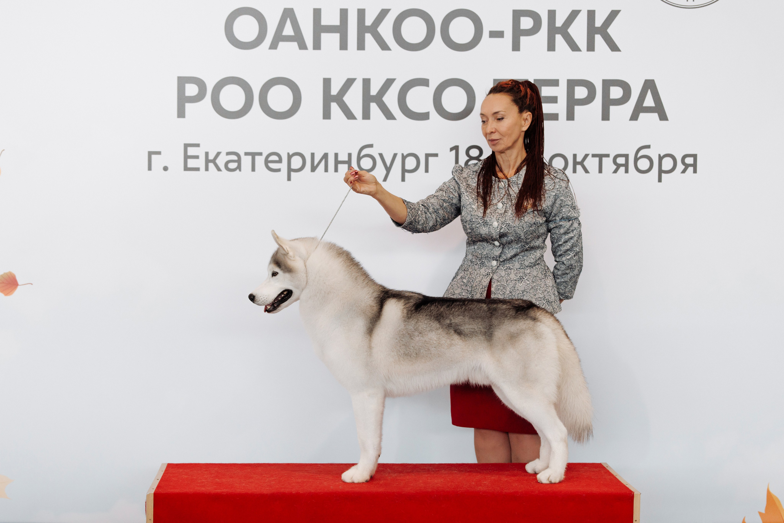 18/19.10.2025 — Екатеринбург. Фотограф-анималист Саша Вязьмина