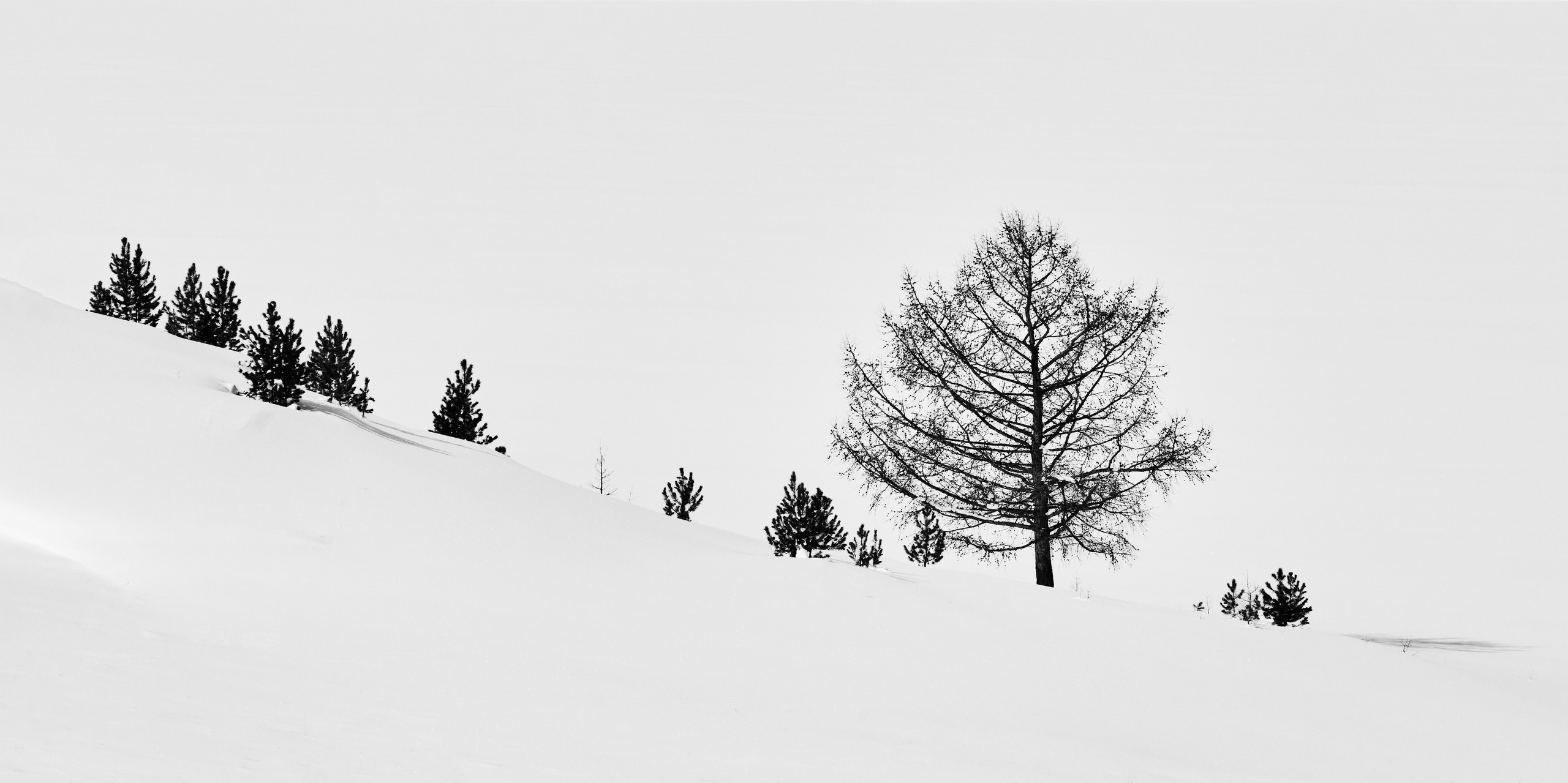 Алтай в ожидании лета. Shaltay Gallery