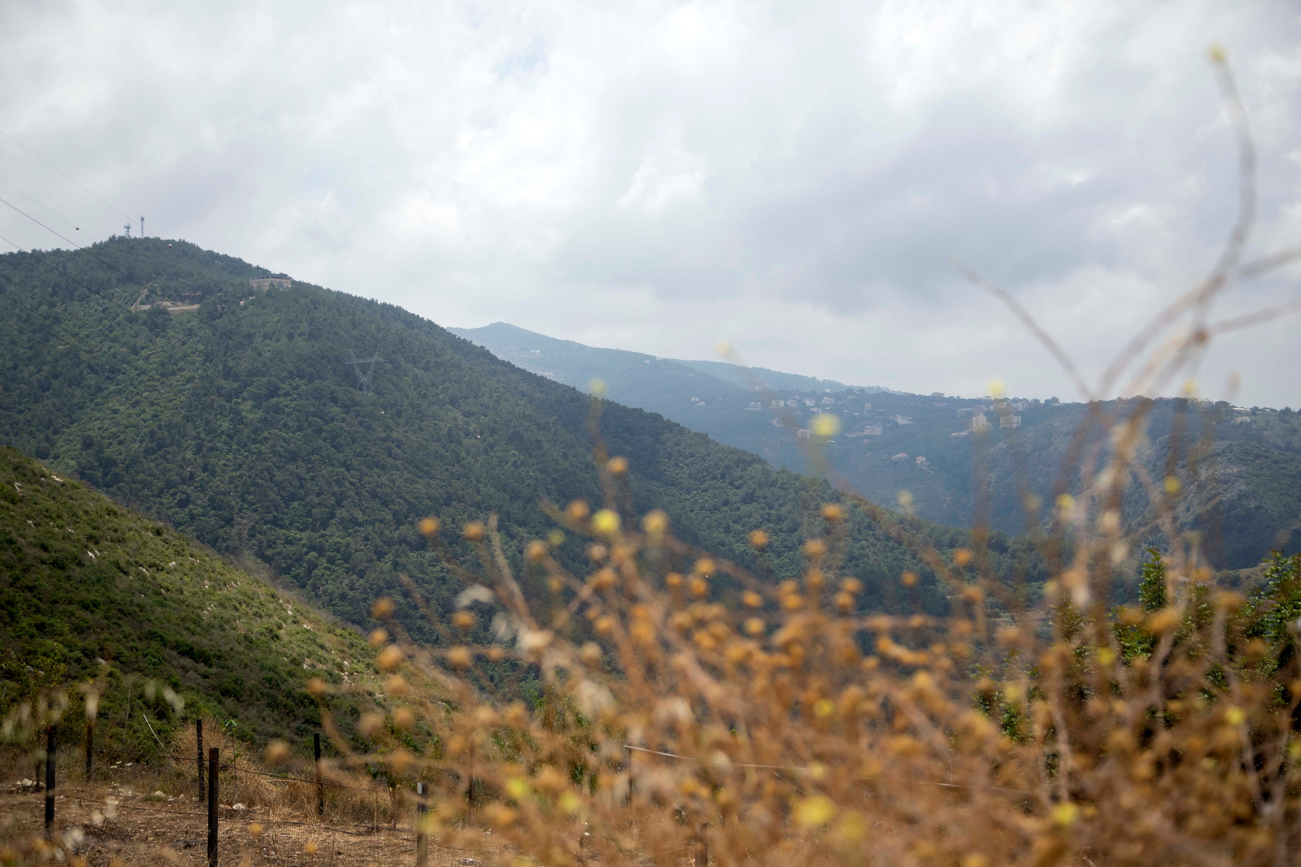 Lera. Семейный и детский фотограф в Санкт-Петербург. Natalia Fadel