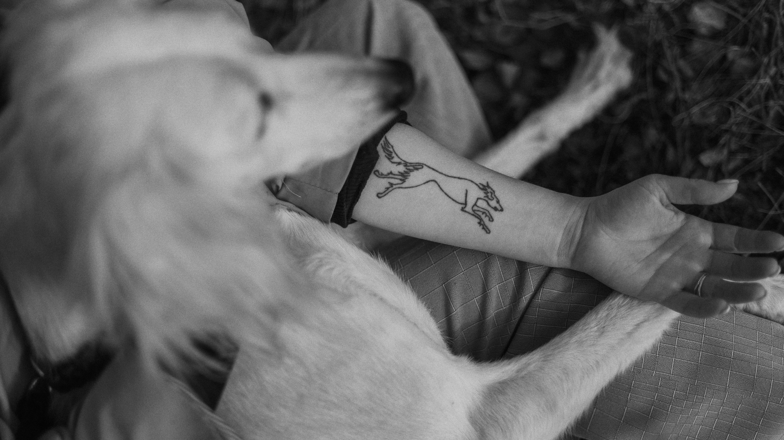 Настя и Бейда. Фотограф-анималист Богданова Полина