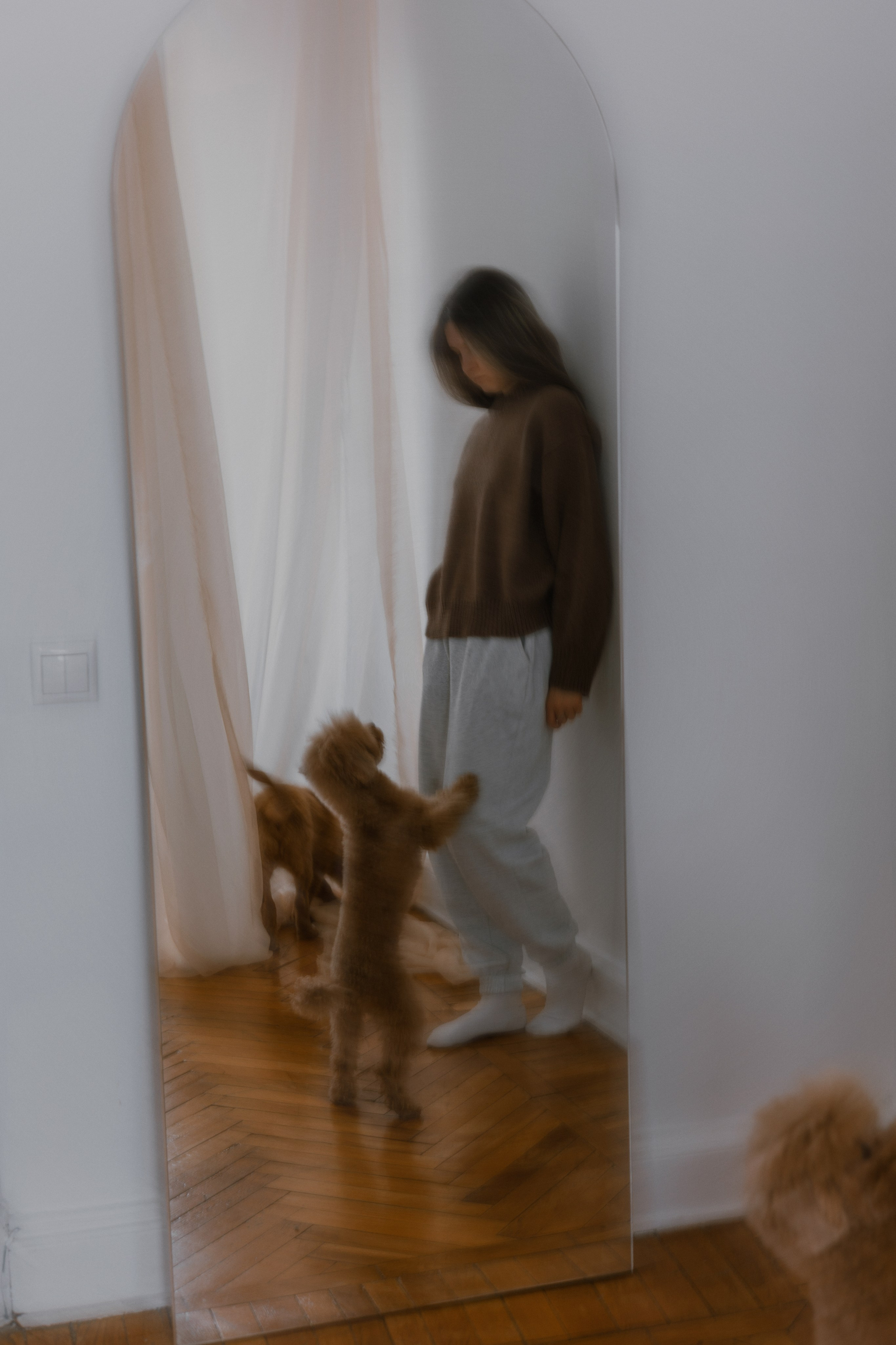 Маша, Одди и Нэвил. Фотограф-анималист Богданова Полина